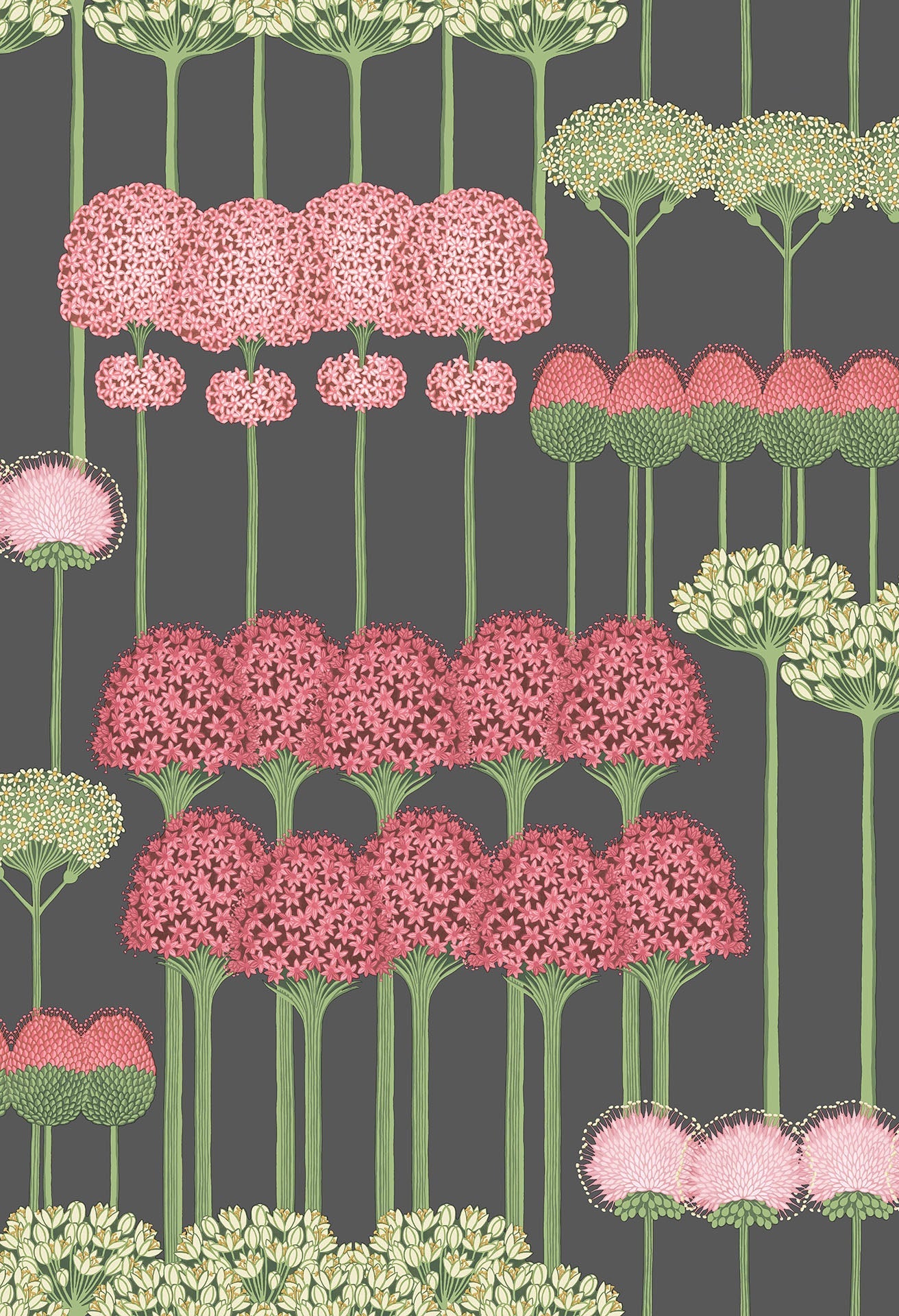 Allium - Wallpaper Trader