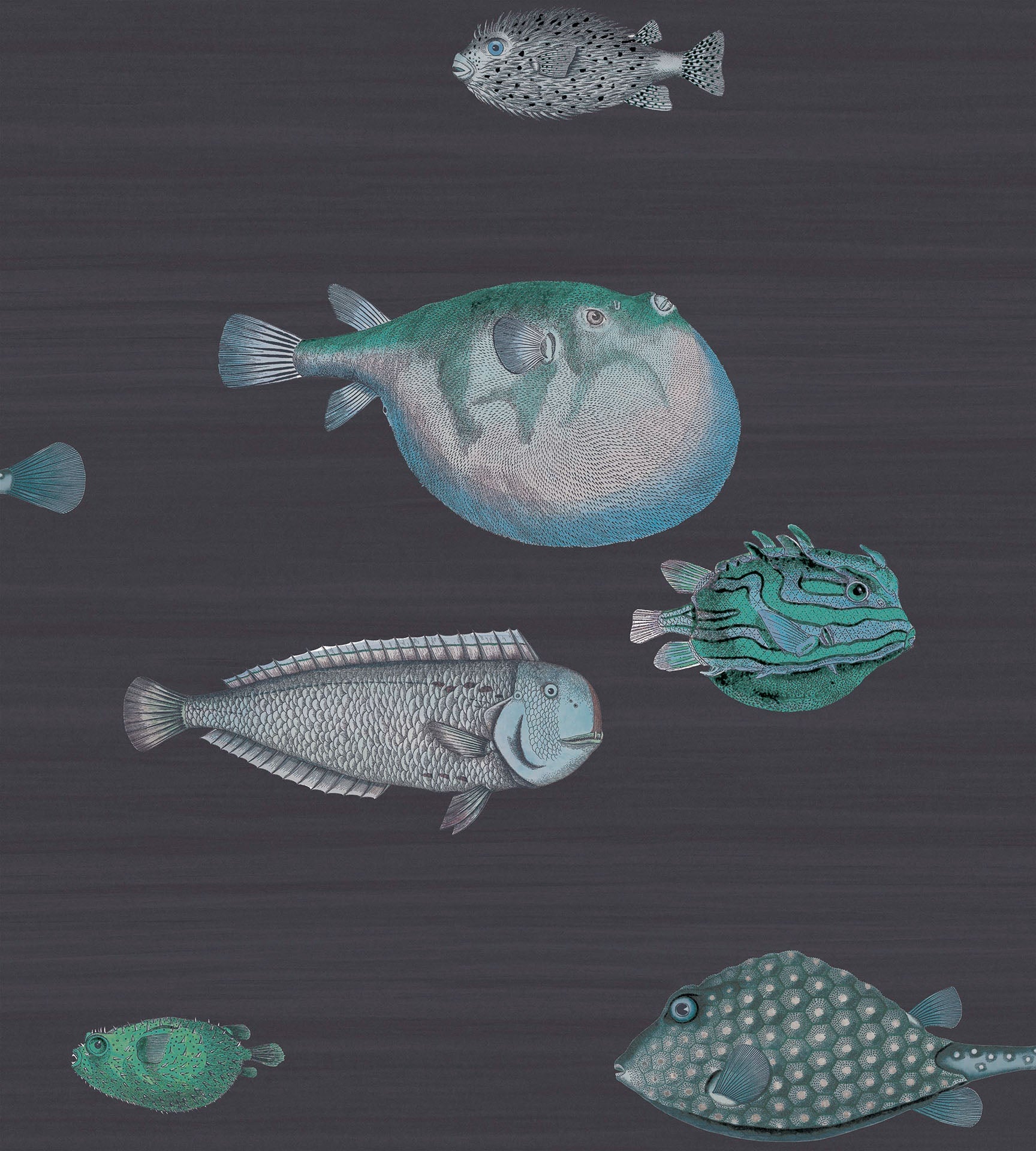 Acquario Fish - Wallpaper Trader