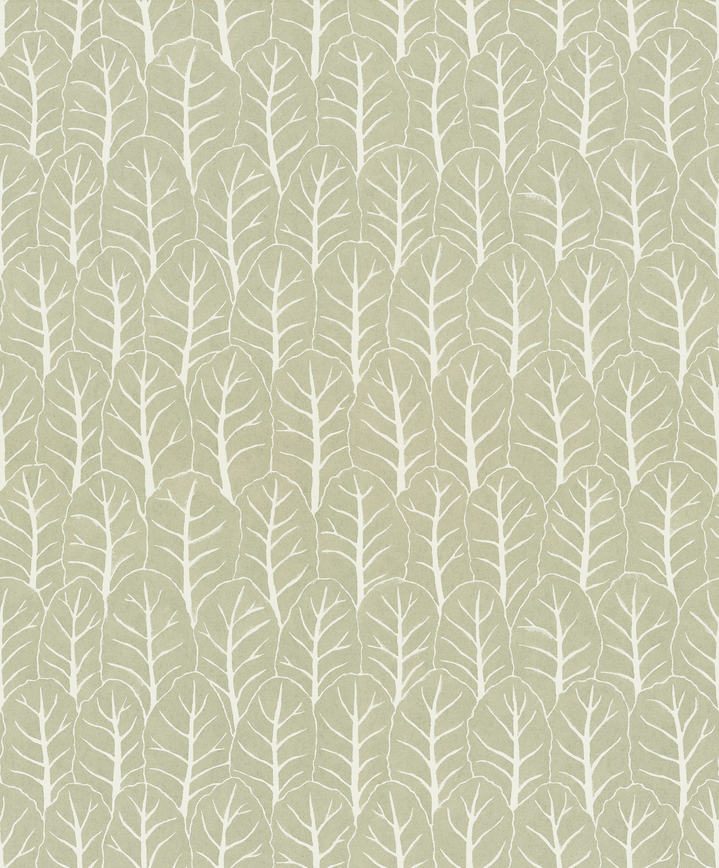 Coleslaw wallpaper by Langelid/von Bromssen - botanical design in Green