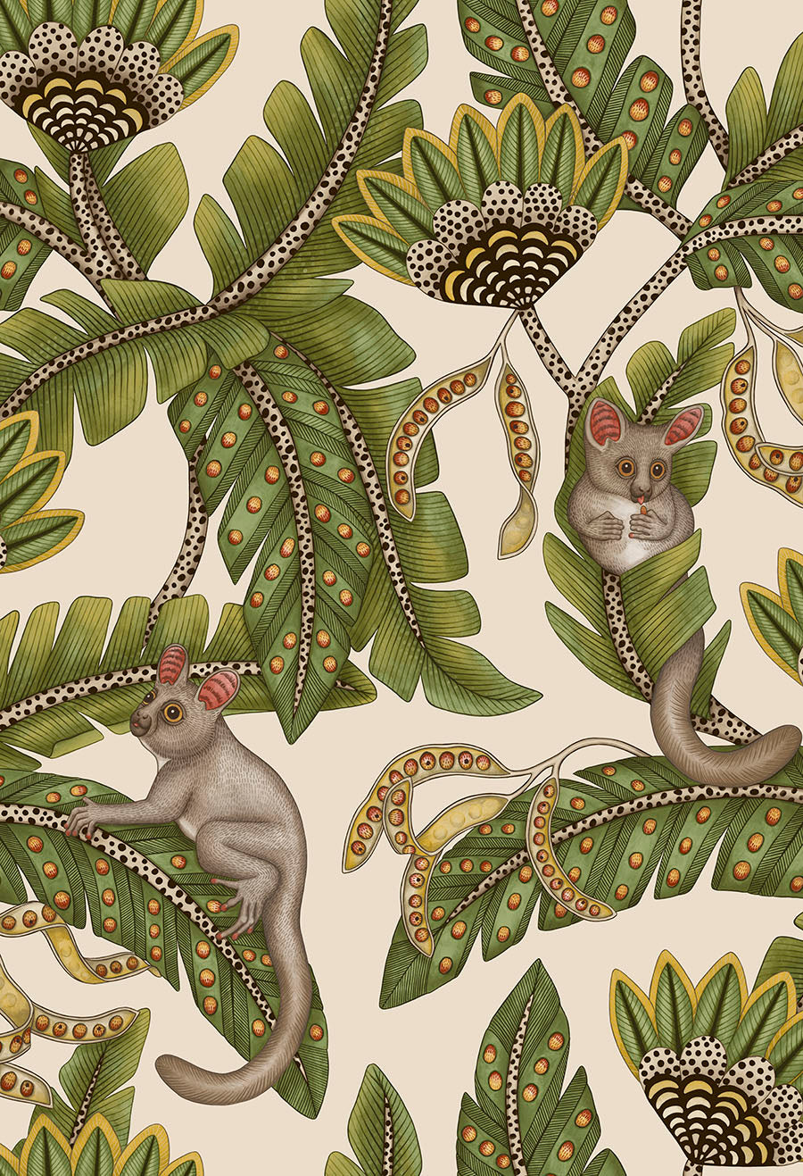 Bush Baby - Wallpaper Trader