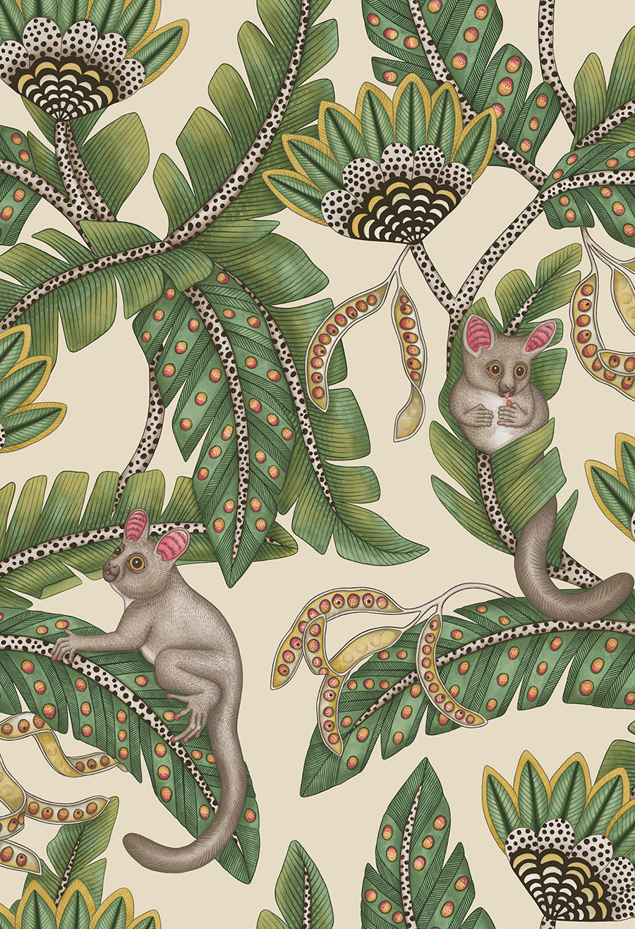 Bush Baby - Wallpaper Trader