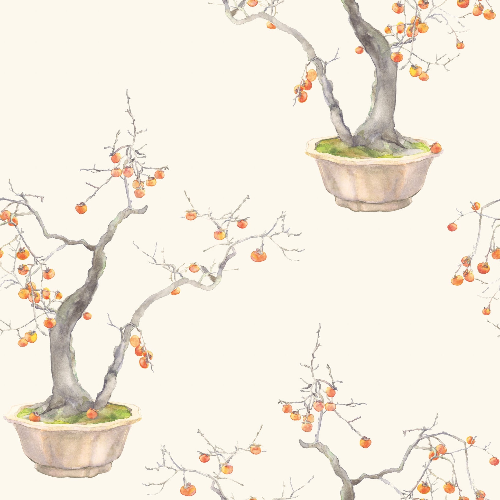 Kaki Persimmon - Wallpaper Trader