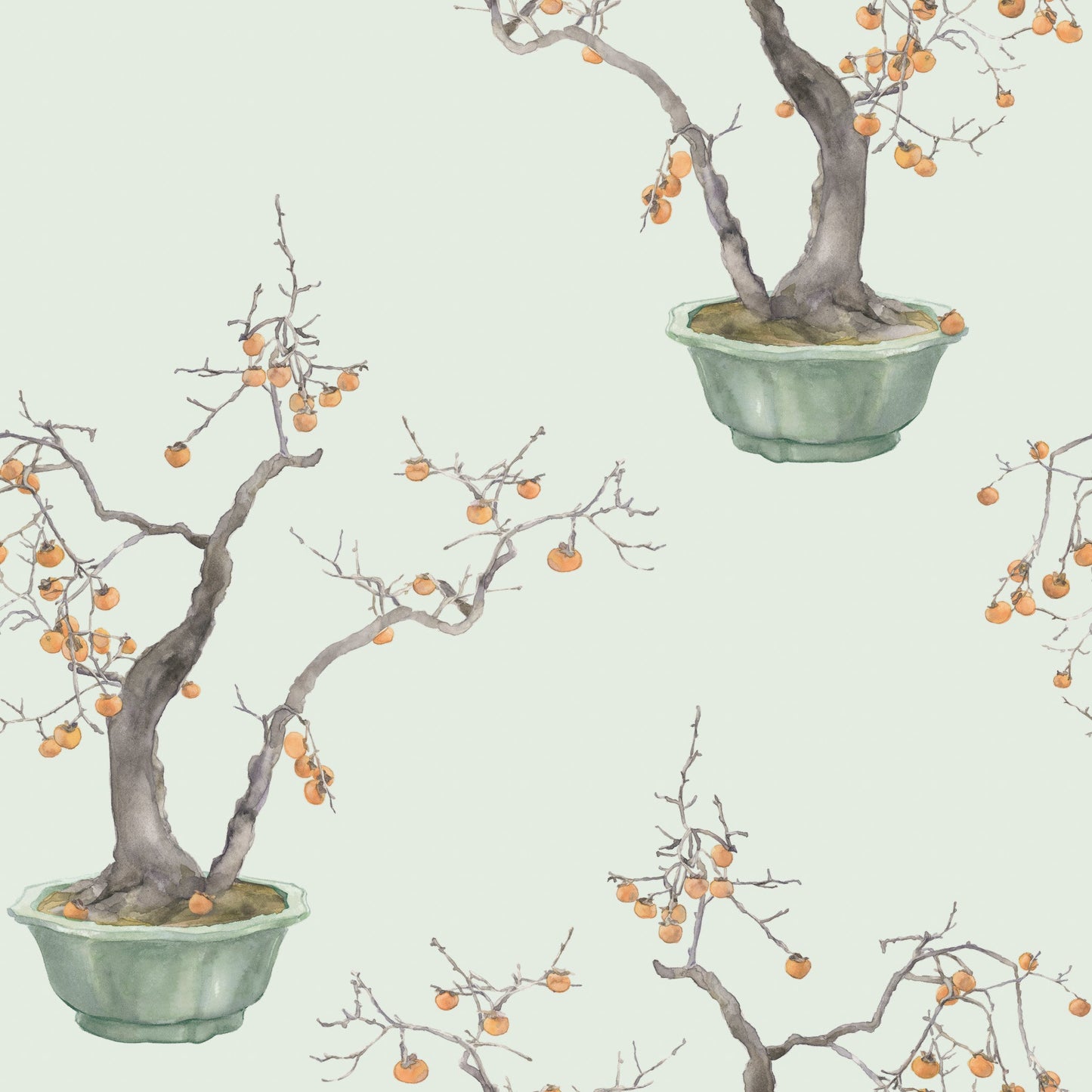 Kaki Persimmon - Wallpaper Trader