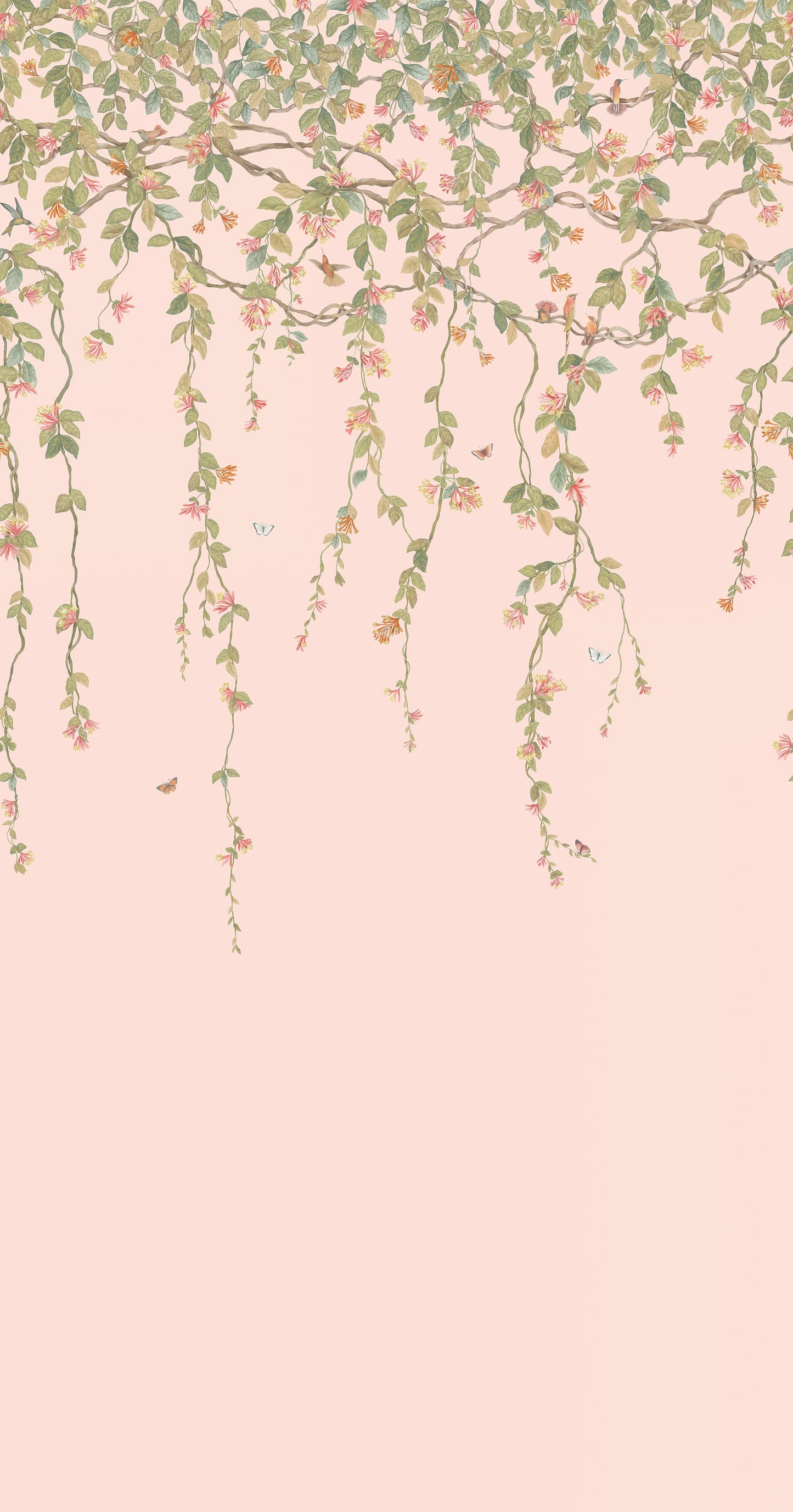 Hummingbirds Flora - Wallpaper Trader