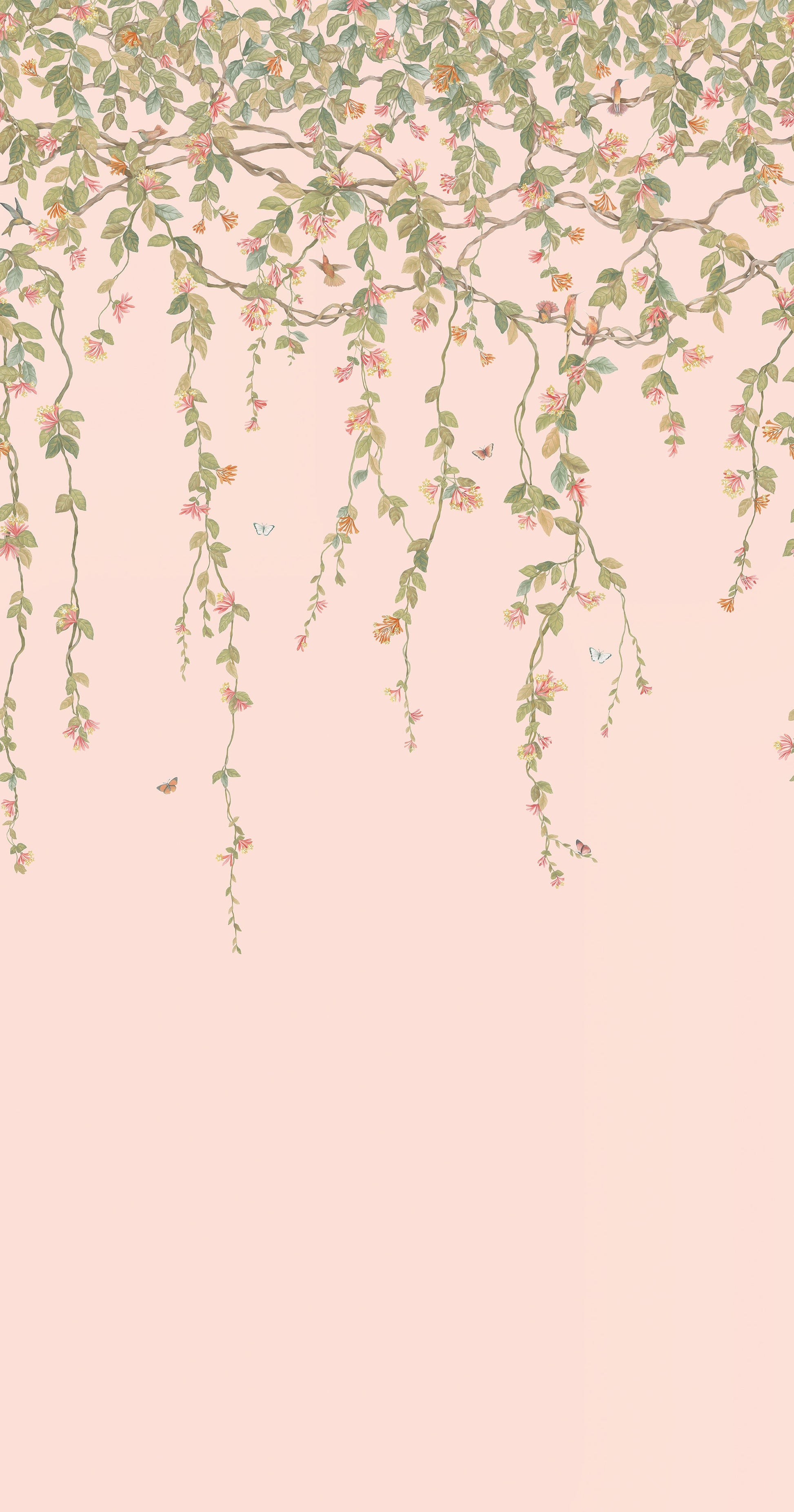 Hummingbirds Flora - Wallpaper Trader