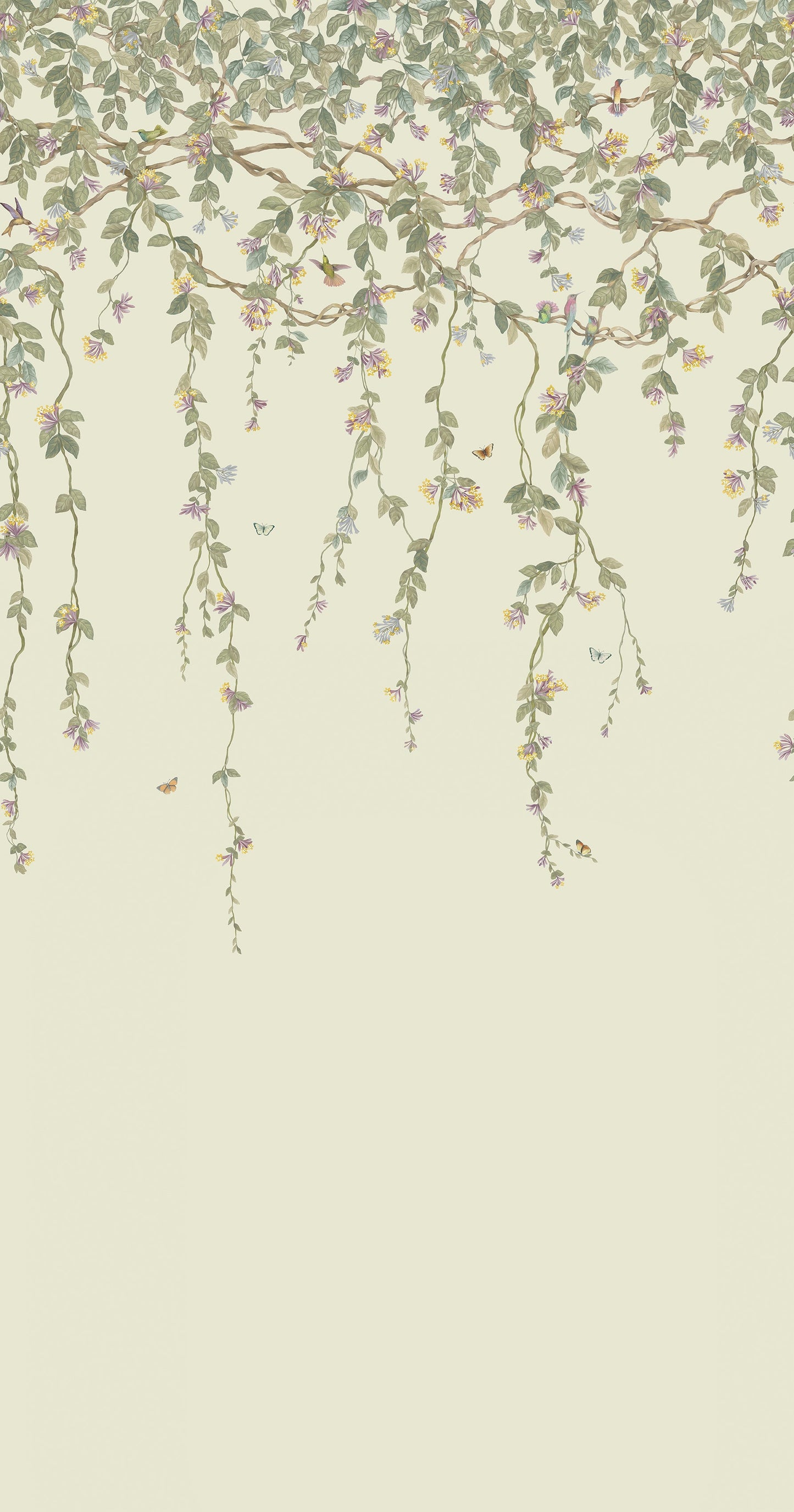 Hummingbirds Flora - Wallpaper Trader