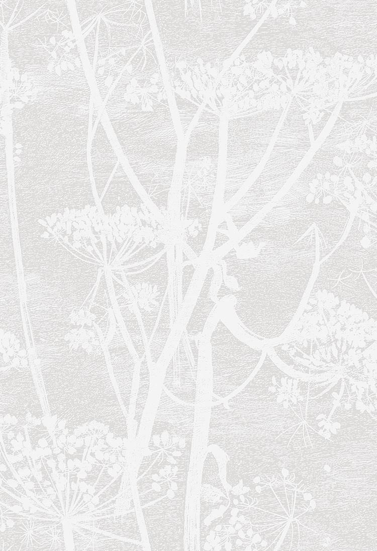 Cow Parsley - Wallpaper Trader