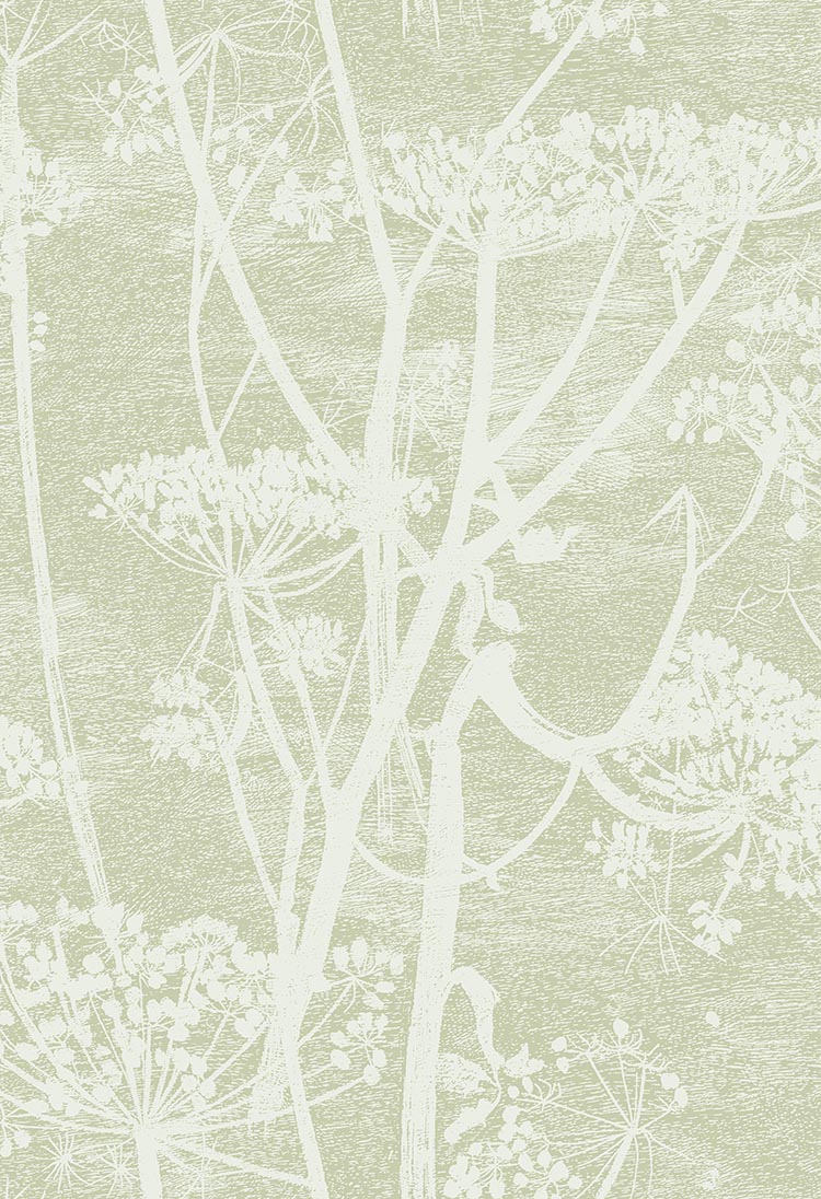 Cow Parsley - Wallpaper Trader