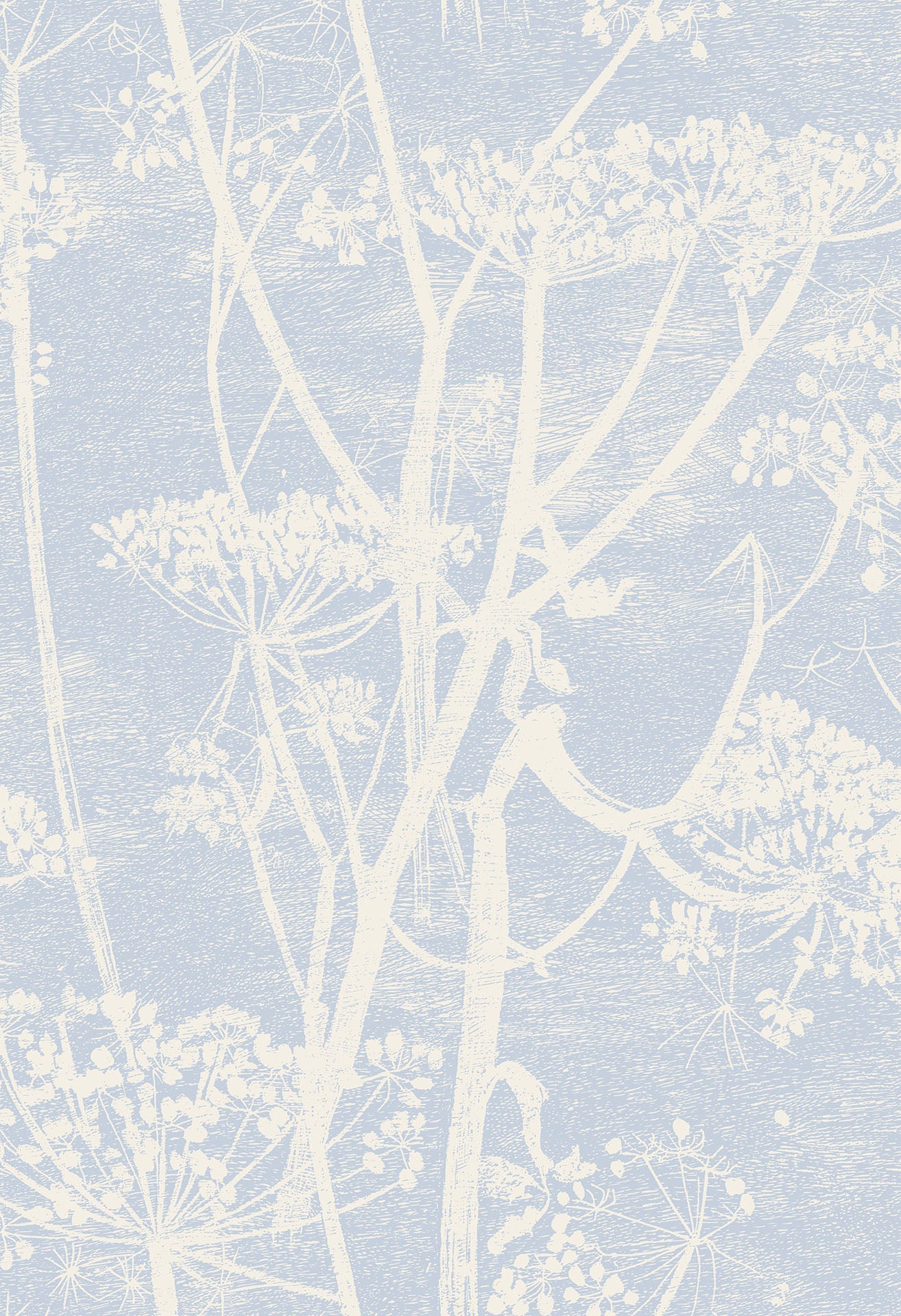 Cow Parsley - Wallpaper Trader