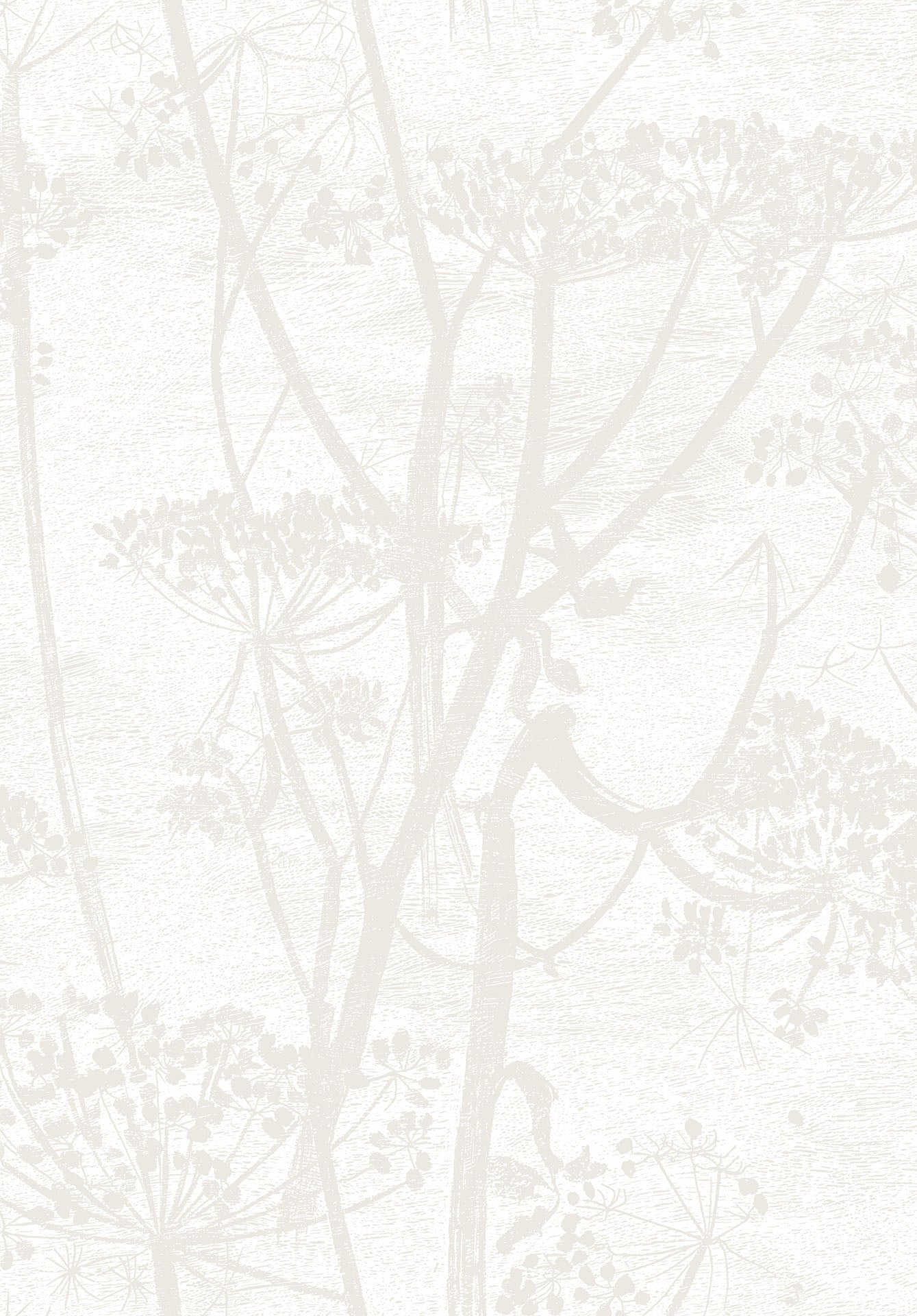 Cow Parsley - Wallpaper Trader