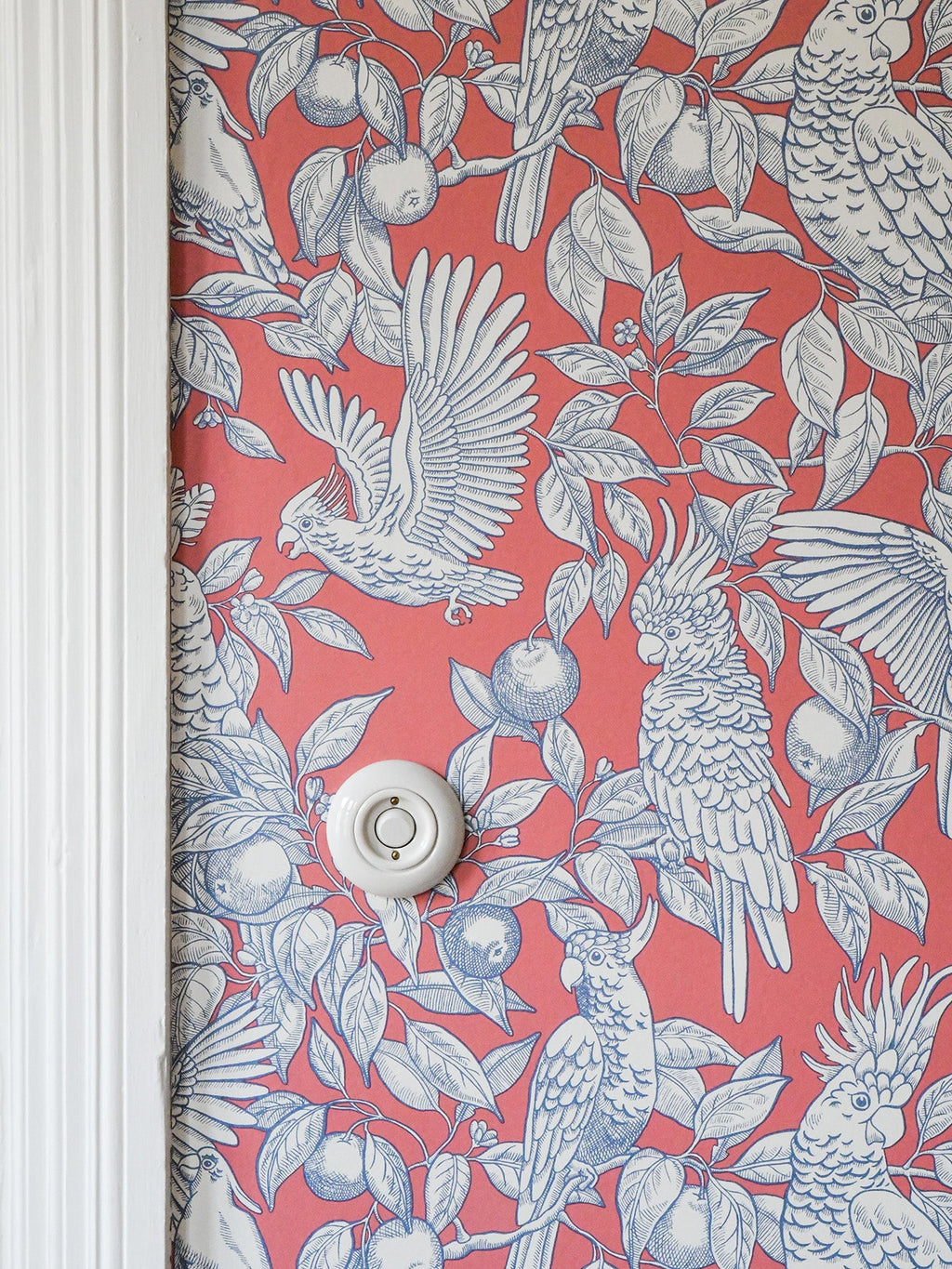 Talk about Cockatoos wallpaper by Langelid/von Bromssen - animals design in Red