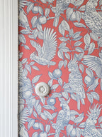 Talk about Cockatoos wallpaper by Langelid/von Bromssen - animals design in Red