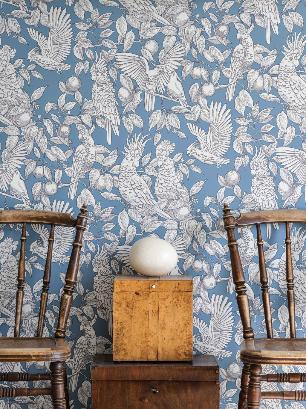 Talk about Cockatoos wallpaper by Langelid/von Bromssen - animals design in Blue