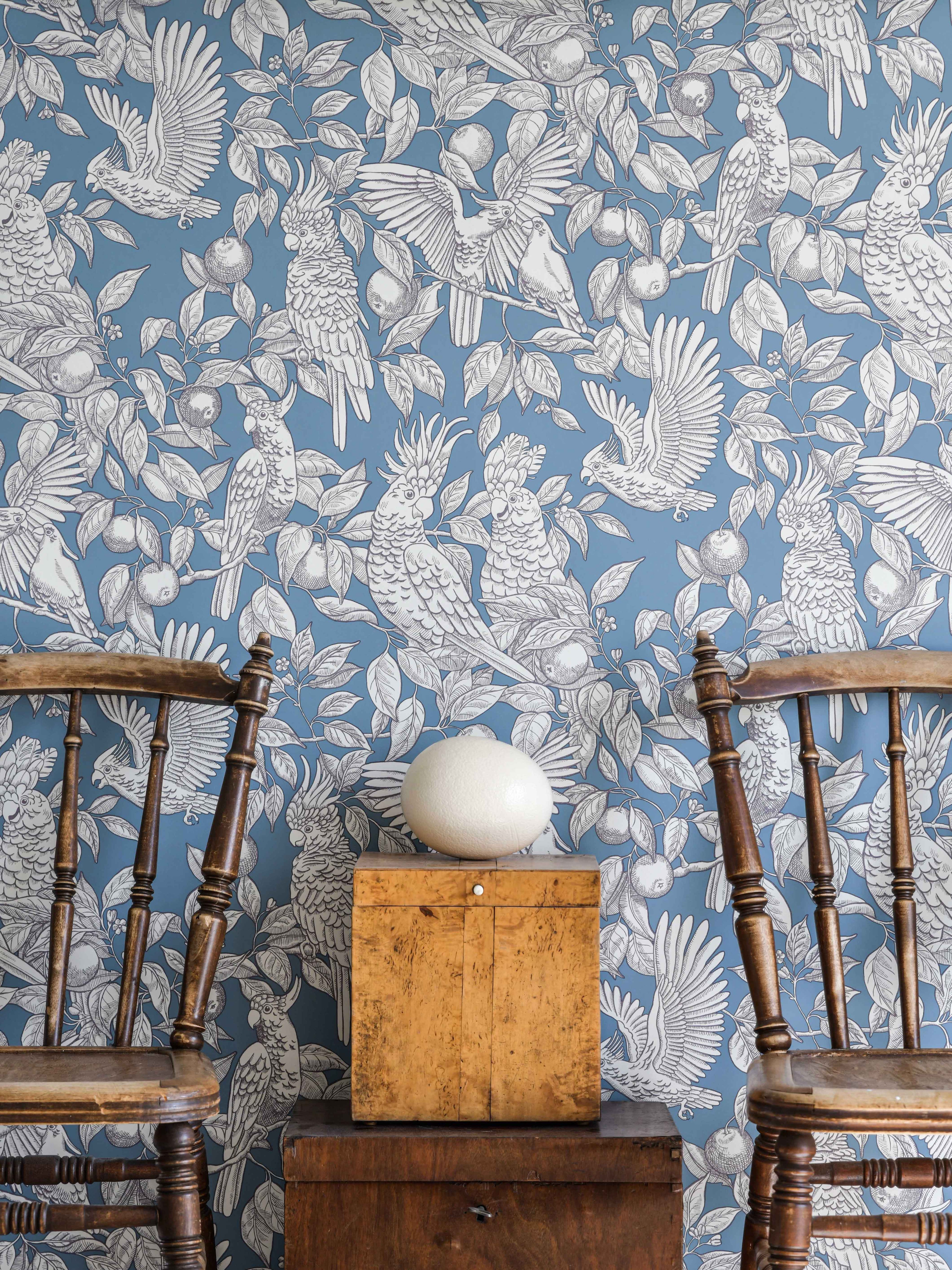 Talk about Cockatoos wallpaper by Langelid/von Bromssen - animals design in Blue