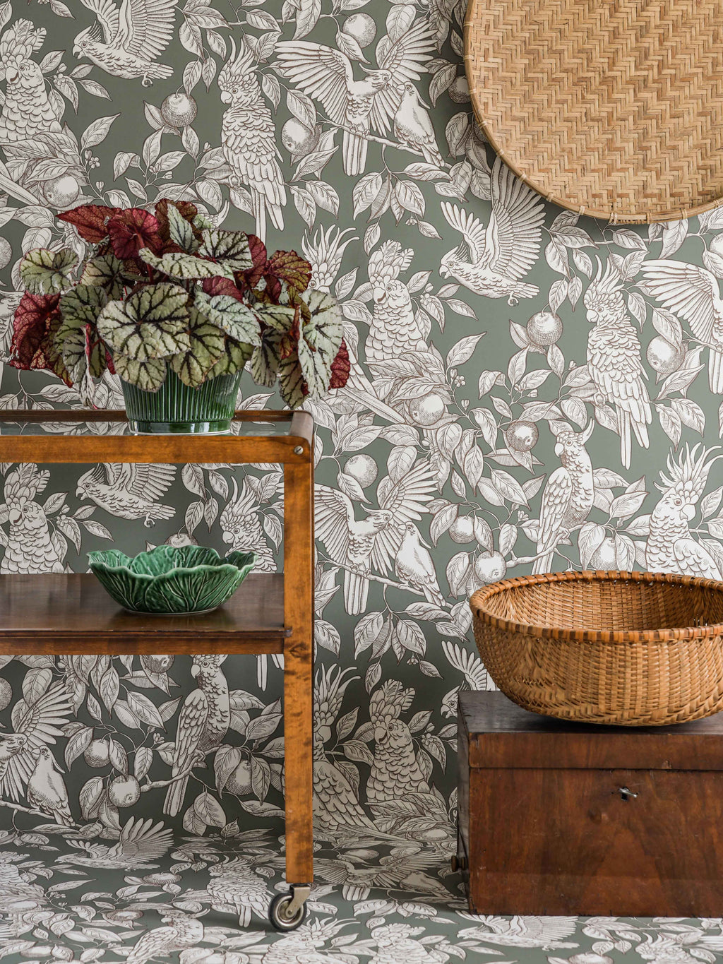 Talk about Cockatoos wallpaper by Langelid/von Bromssen - animals design in Green
