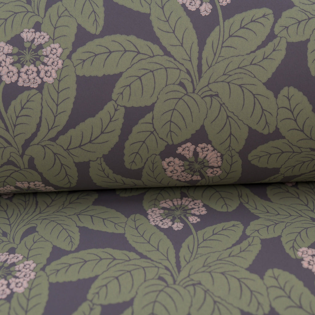 Primula wallpaper by Langelid/von Bromssen - floral design in Purple