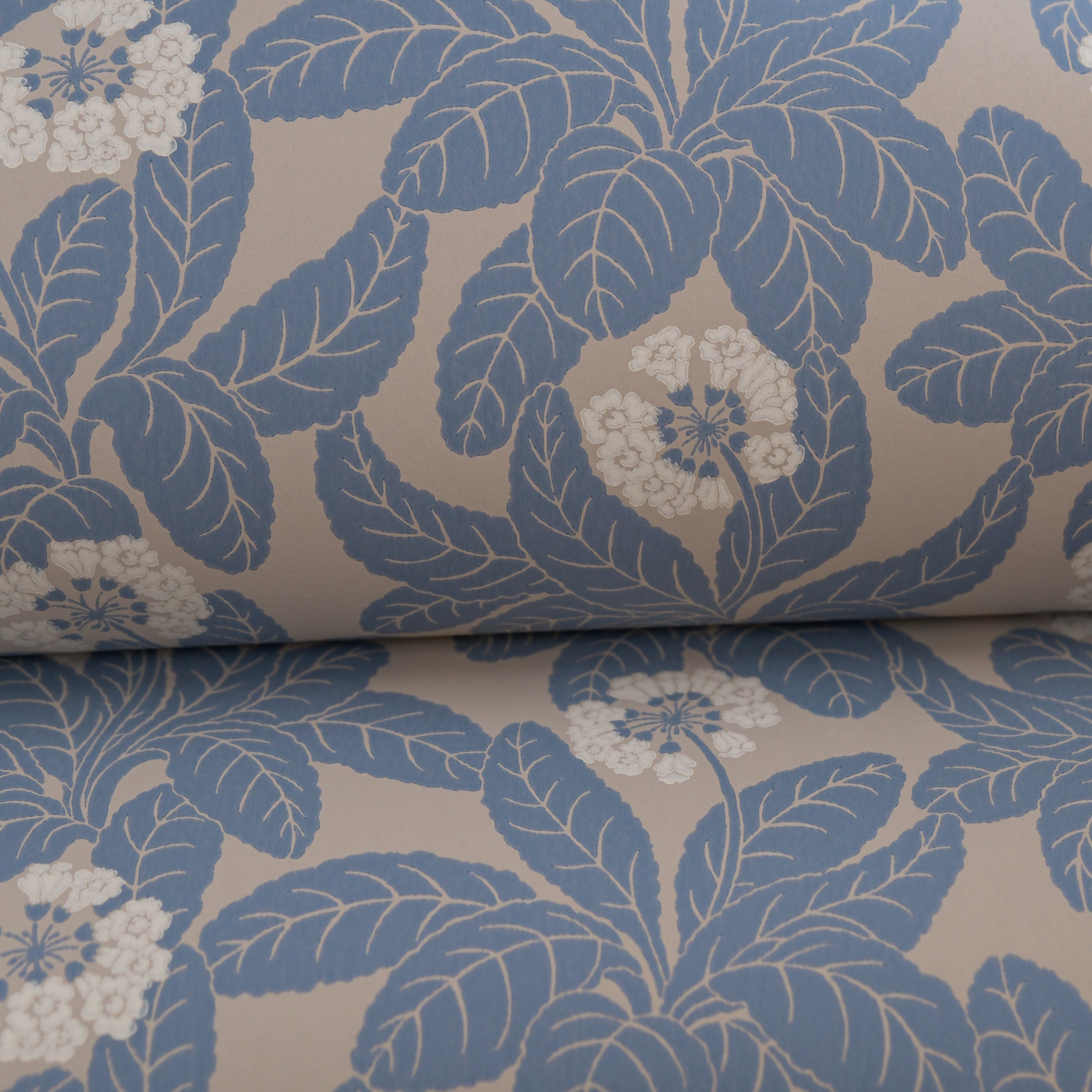 Primula wallpaper by Langelid/von Bromssen - floral design in Blue