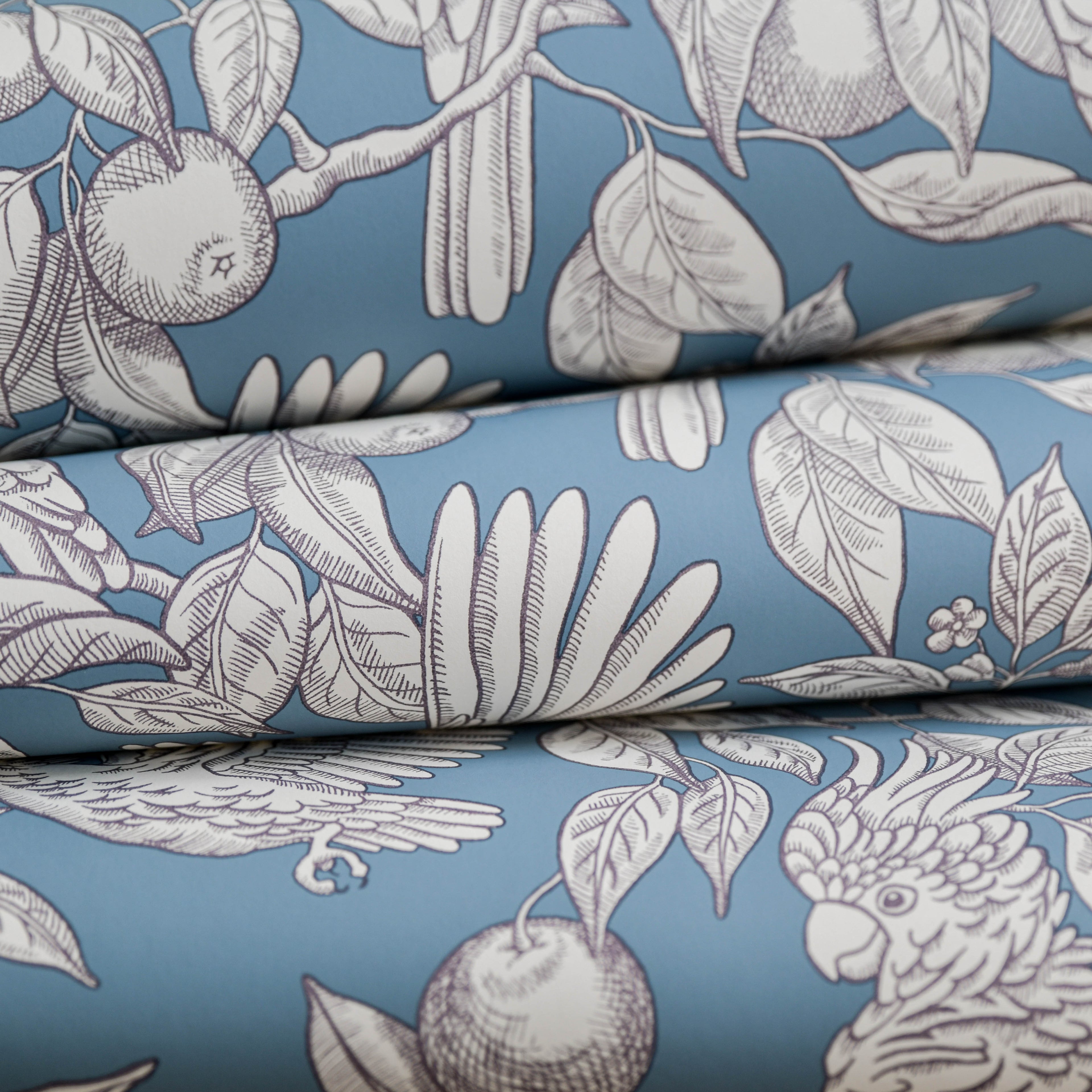 Talk about Cockatoos wallpaper by Langelid/von Bromssen - animals design in Blue