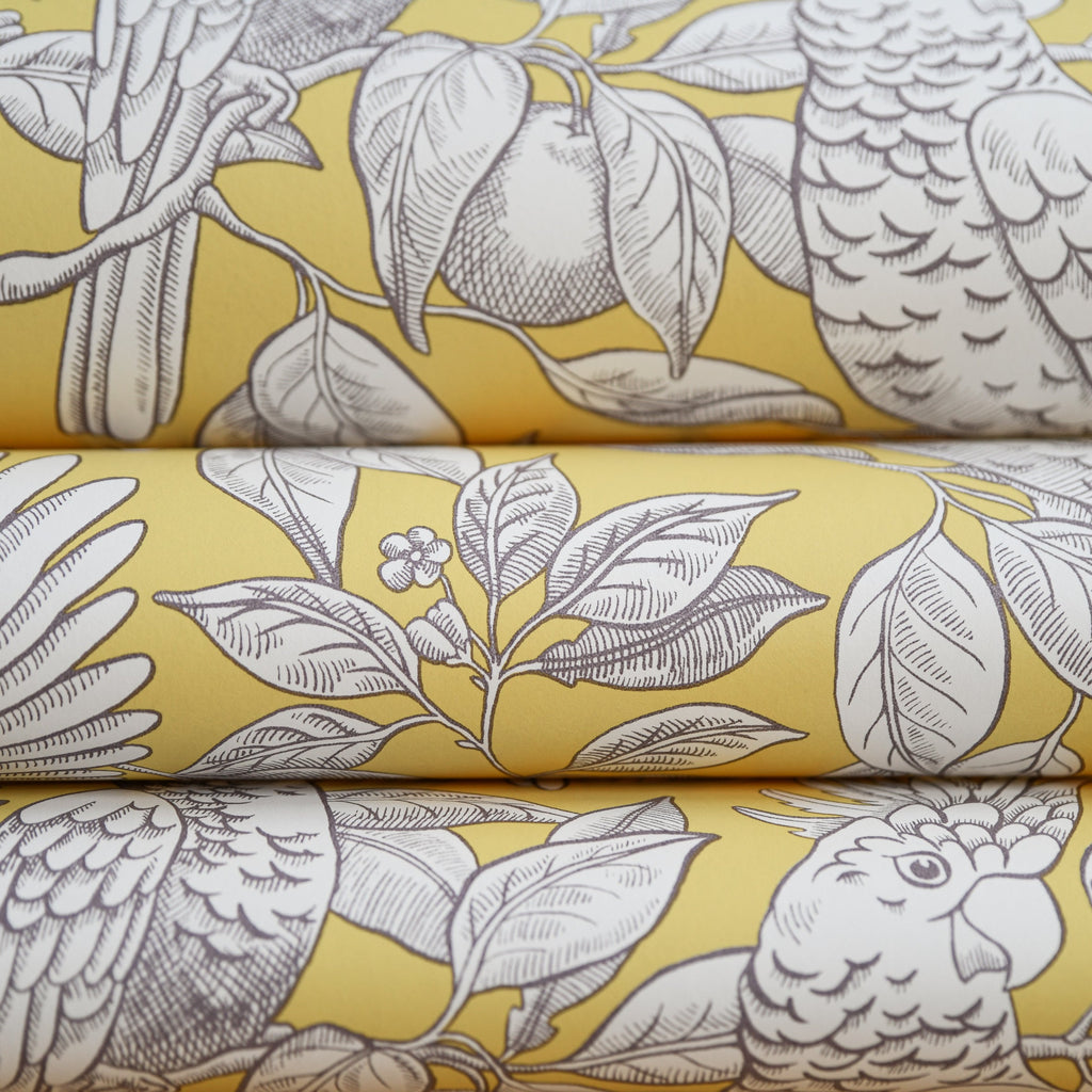 Talk about Cockatoos wallpaper by Langelid/von Bromssen - animals design in Yellow