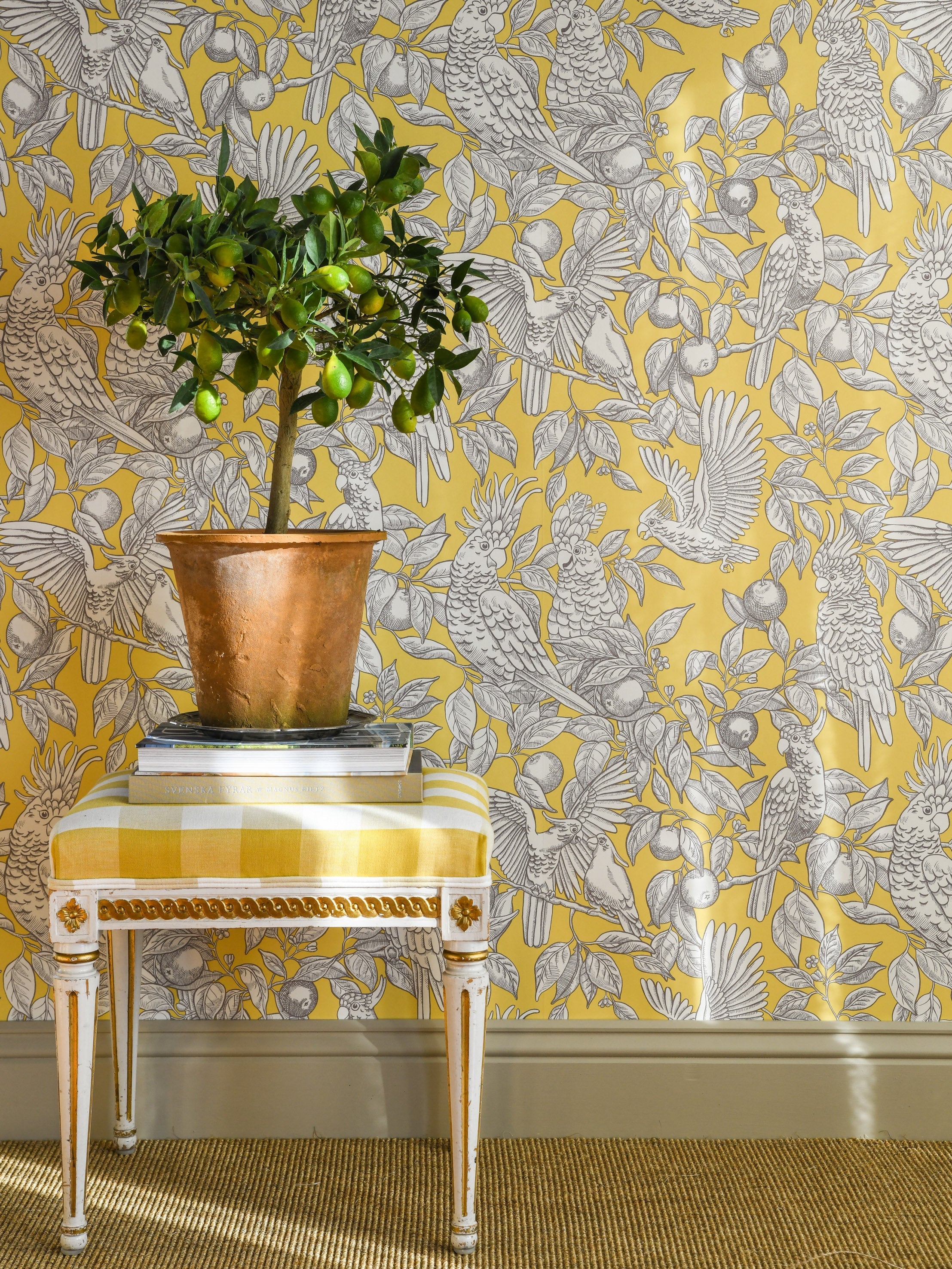 Talk about Cockatoos wallpaper by Langelid/von Bromssen - animals design in Yellow