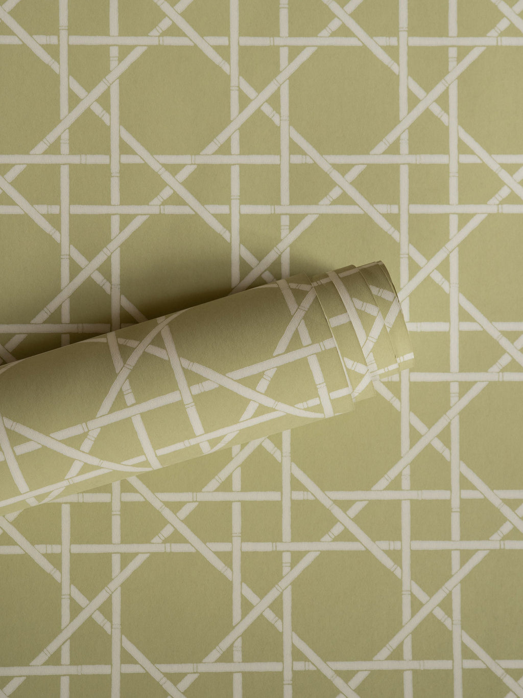 Trellis wallpaper by Långelid/von Brömssen in Green – geometric design, a part-rolled length showing the cane lattice