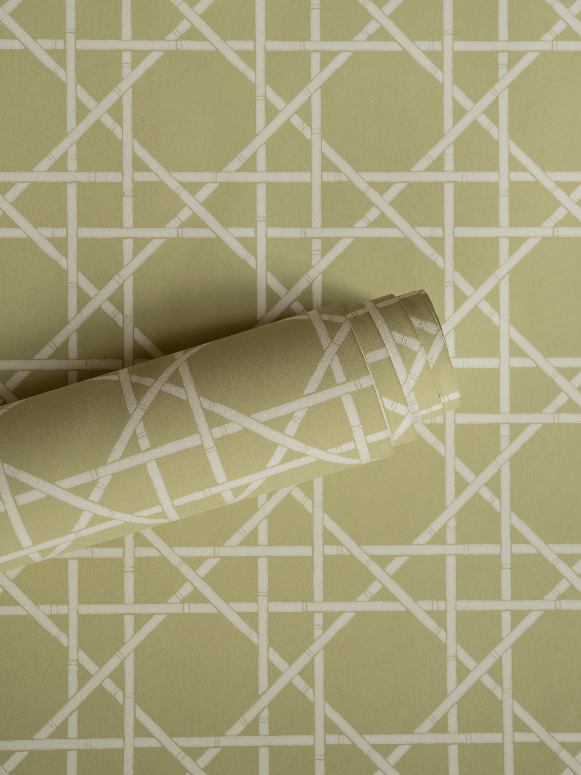 Trellis wallpaper by Långelid/von Brömssen in Green – geometric design, a part-rolled length showing the cane lattice