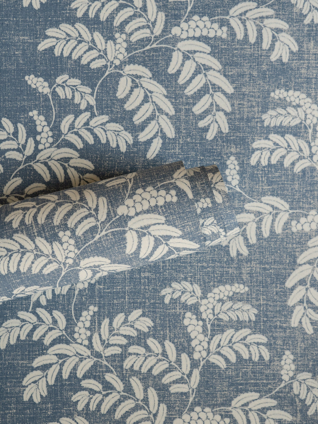 Acacia wallpaper by Långelid/von Brömssen in Blue – botanical design, a part-rolled length showing the leaf motif