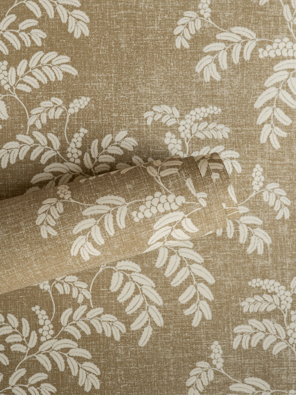 Acacia wallpaper by Långelid/von Brömssen in Beige – botanical design, a part-rolled length showing the leaf motif