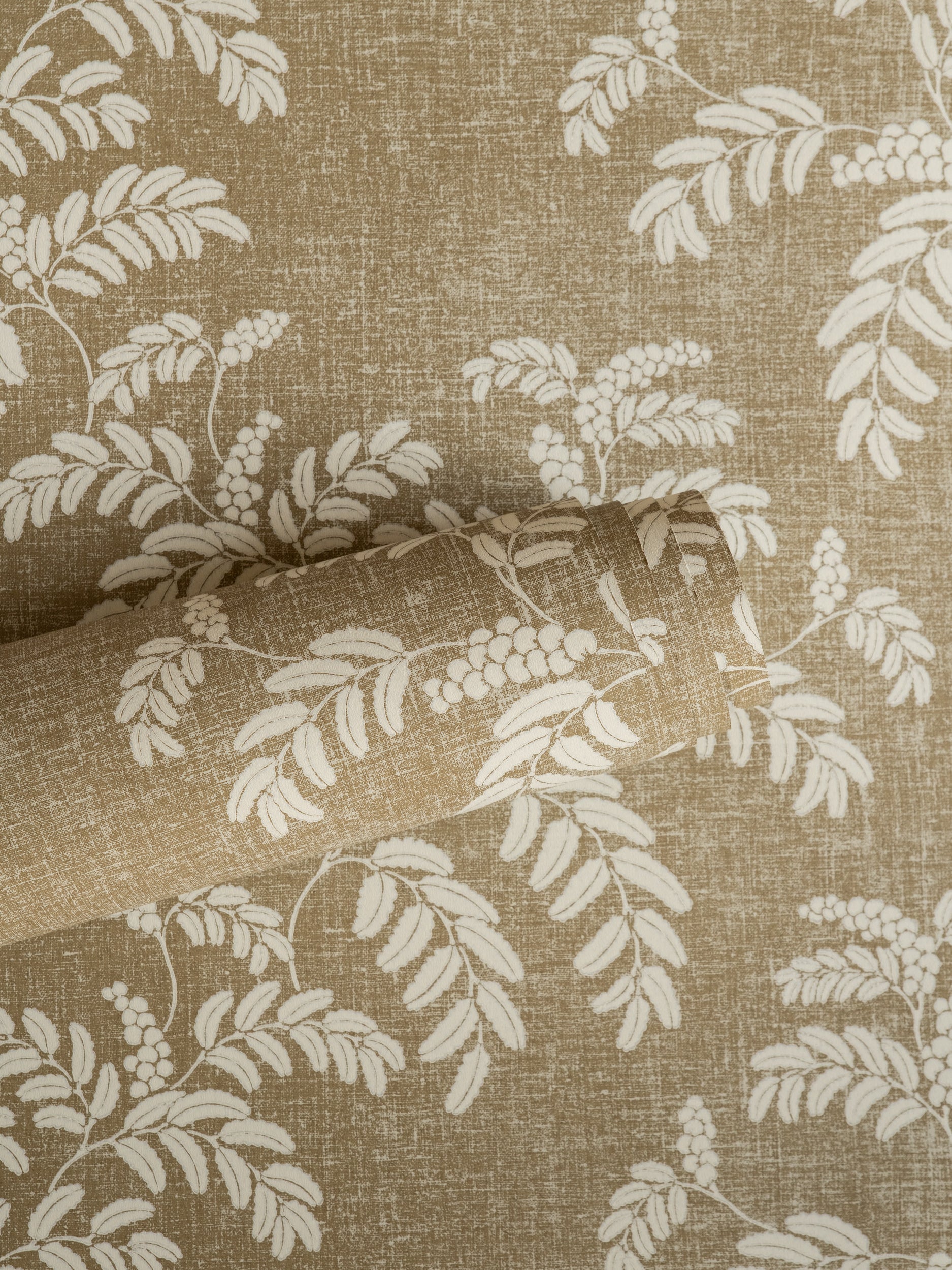 Acacia wallpaper by Långelid/von Brömssen in Beige – botanical design, a part-rolled length showing the leaf motif