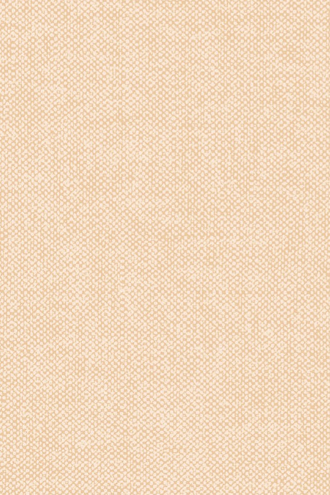 Flamant Lin wallpaper by Arte in Beige – Canvas – flat swatch of the linen texture pattern