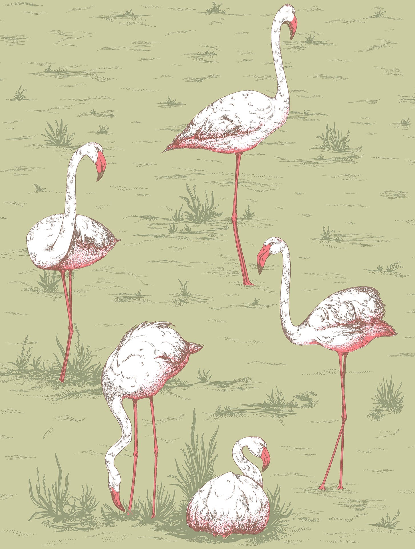 Flamingos - Wallpaper Trader