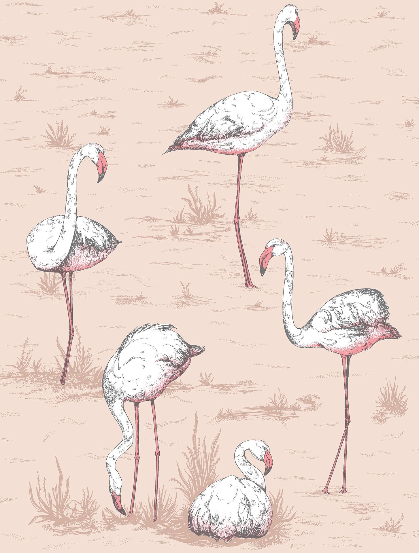 Flamingos - Wallpaper Trader