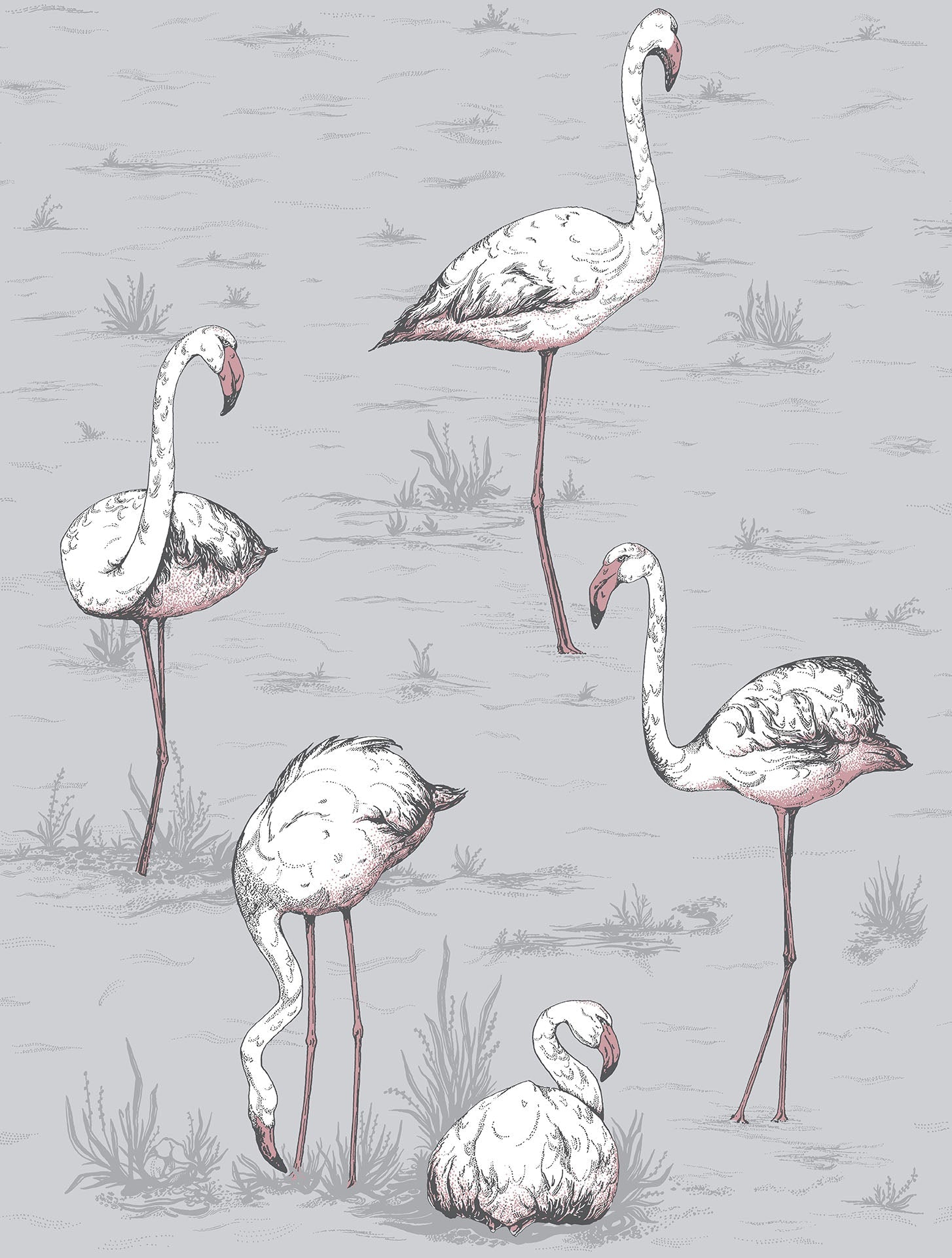 Flamingos - Wallpaper Trader