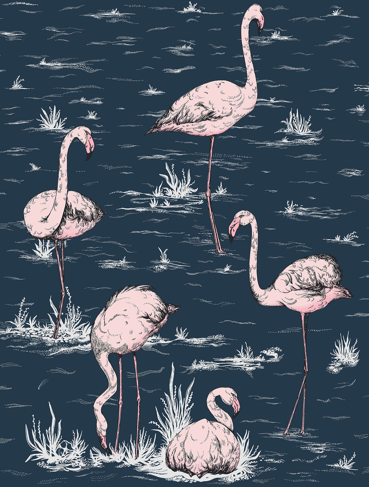 Flamingos - Wallpaper Trader