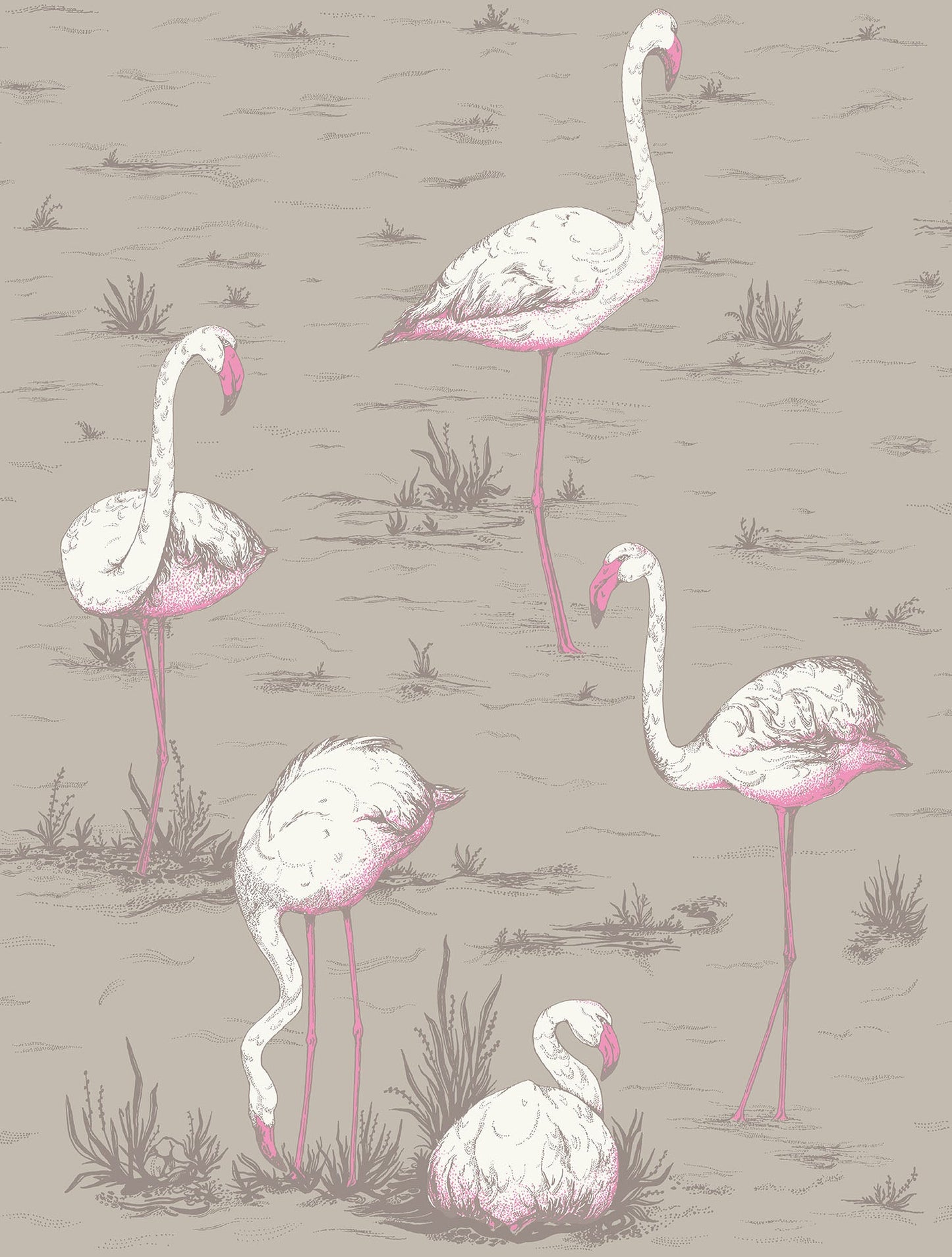 Flamingos - Wallpaper Trader