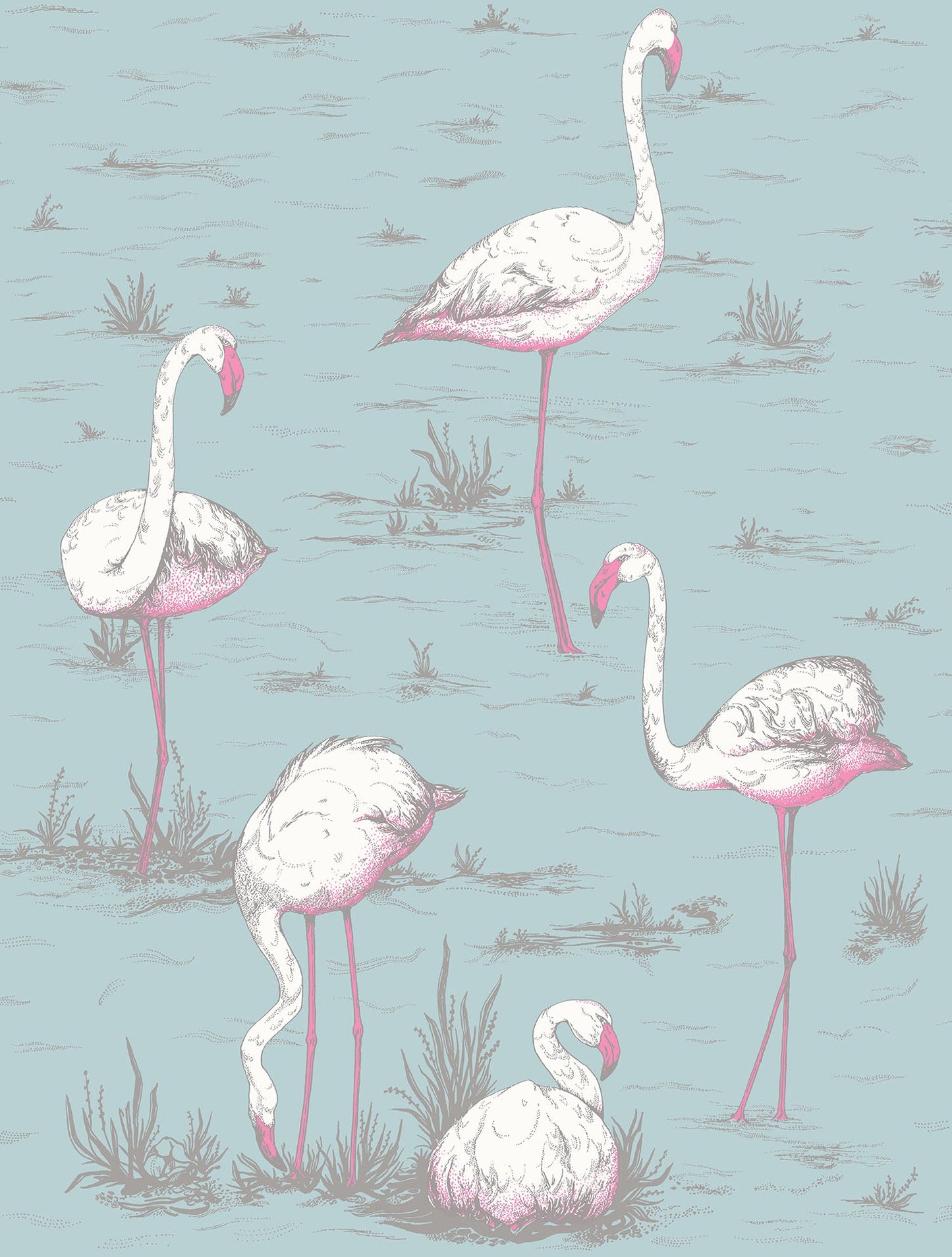 Flamingos - Wallpaper Trader