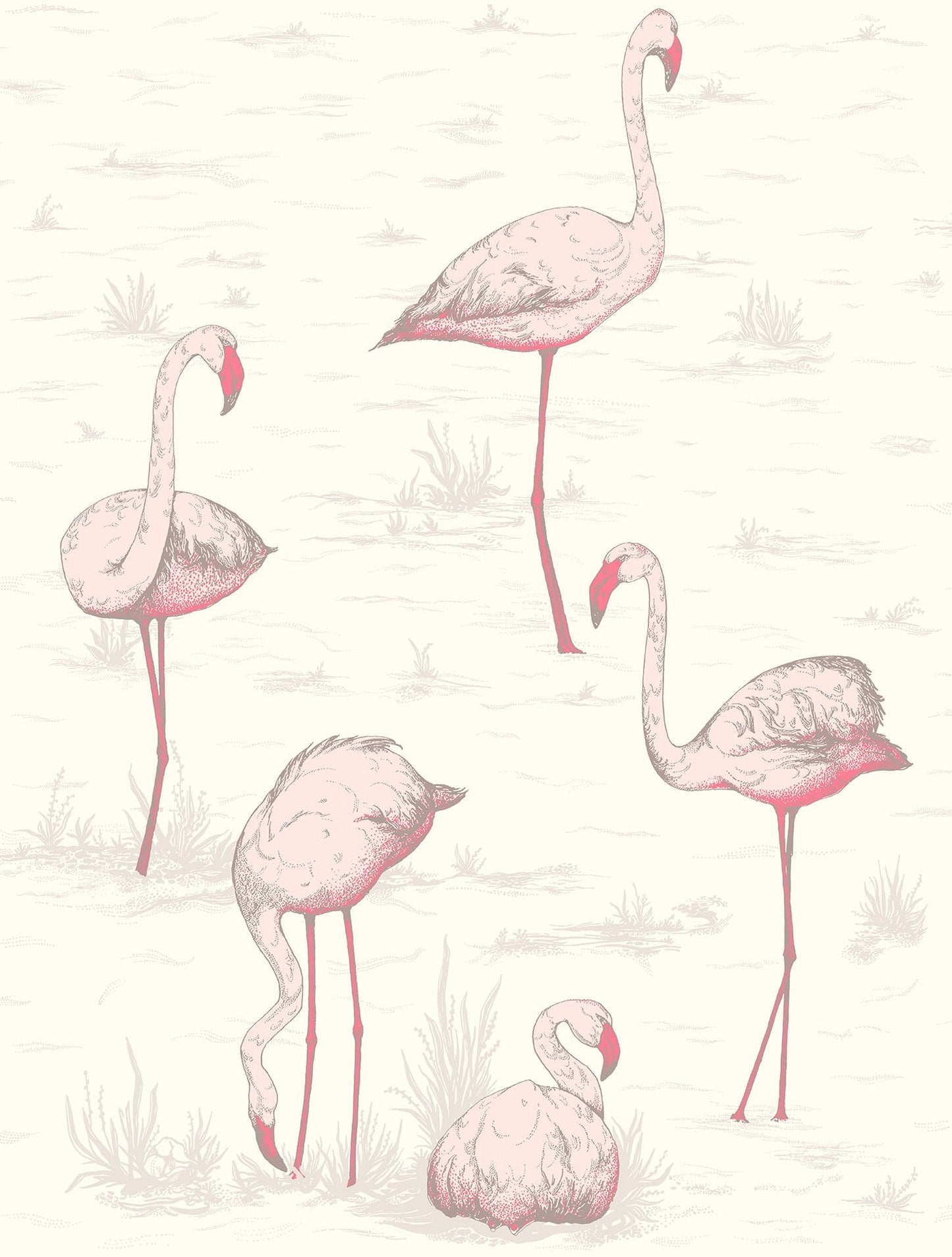 Flamingos - Wallpaper Trader