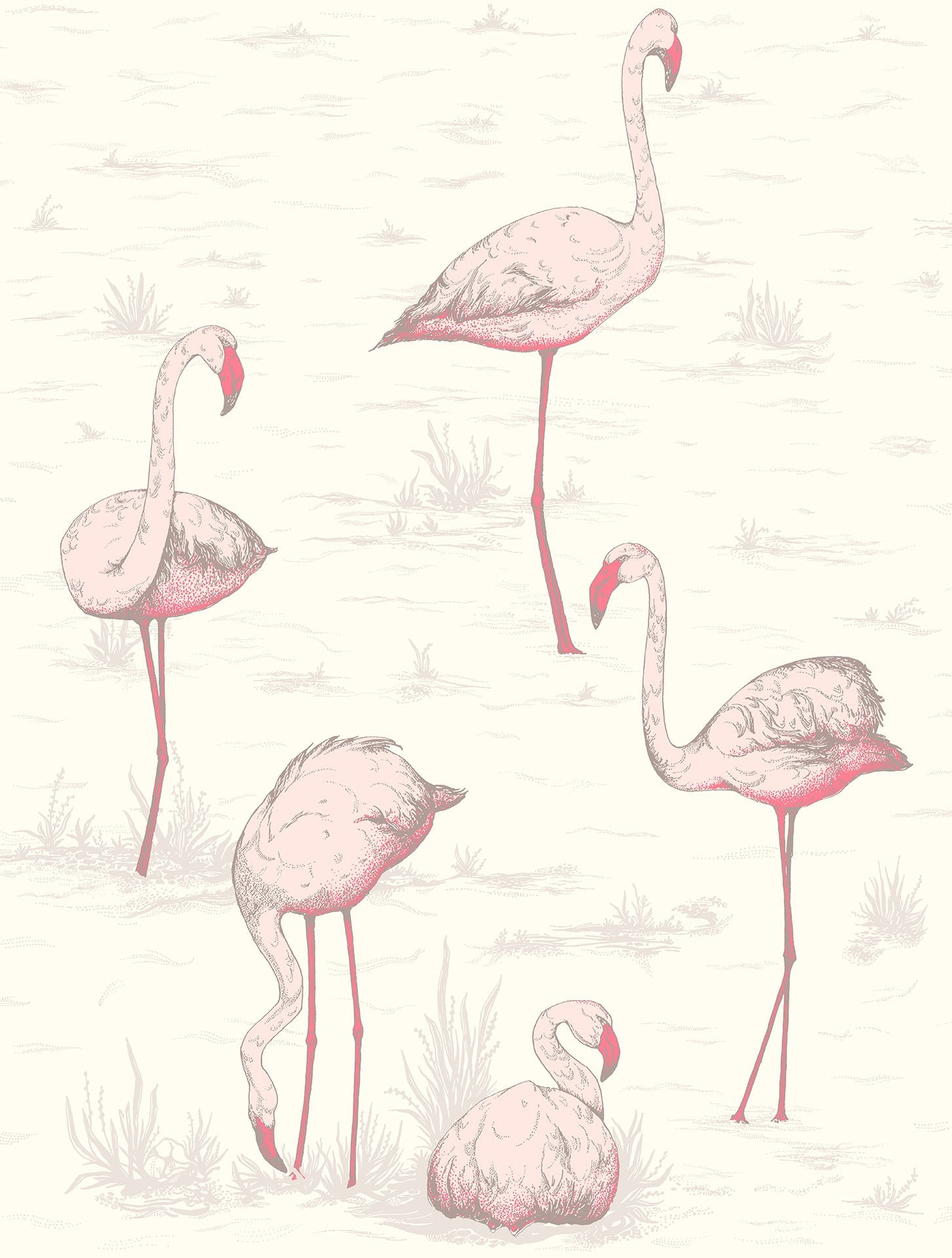 Flamingos - Wallpaper Trader