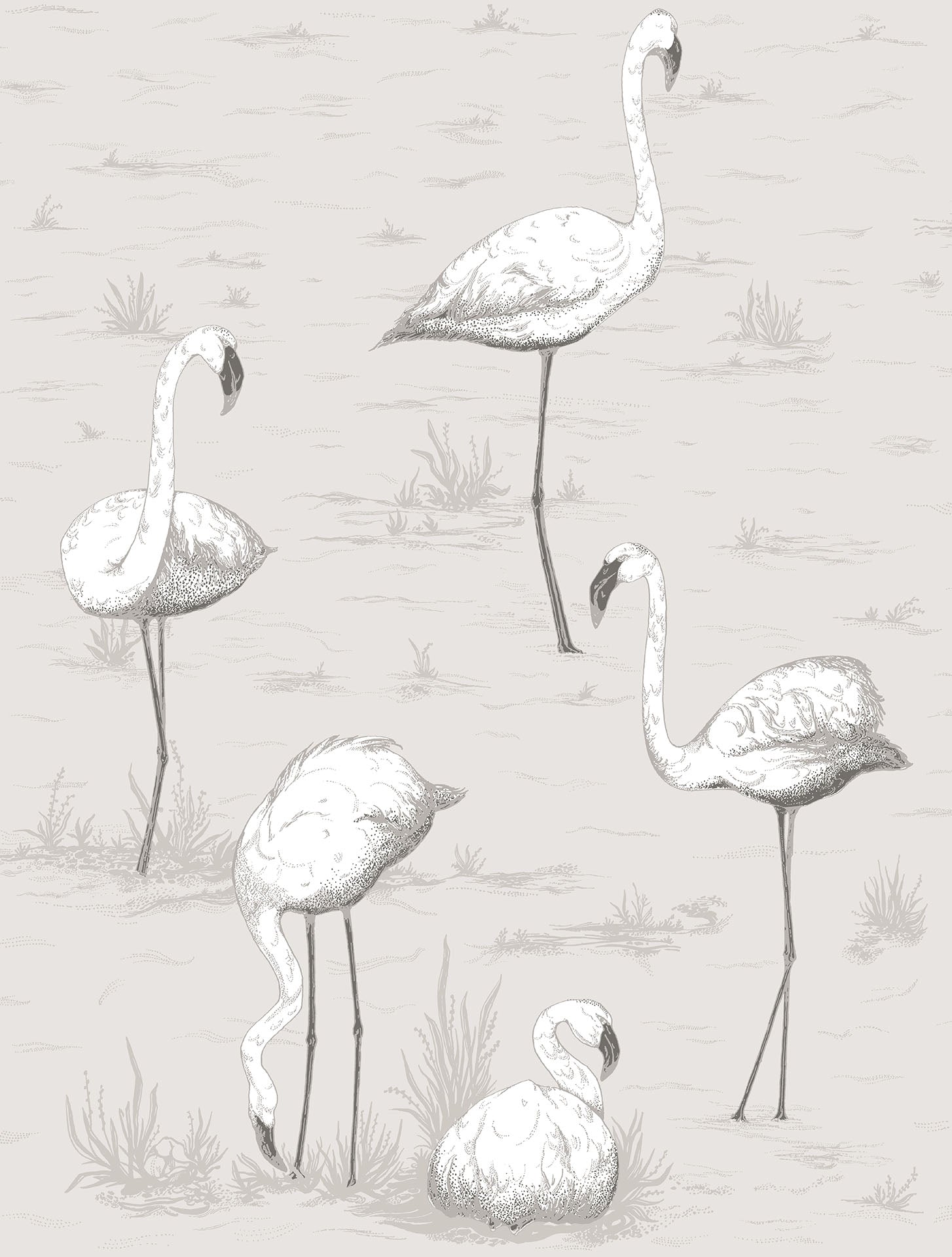 Flamingos - Wallpaper Trader