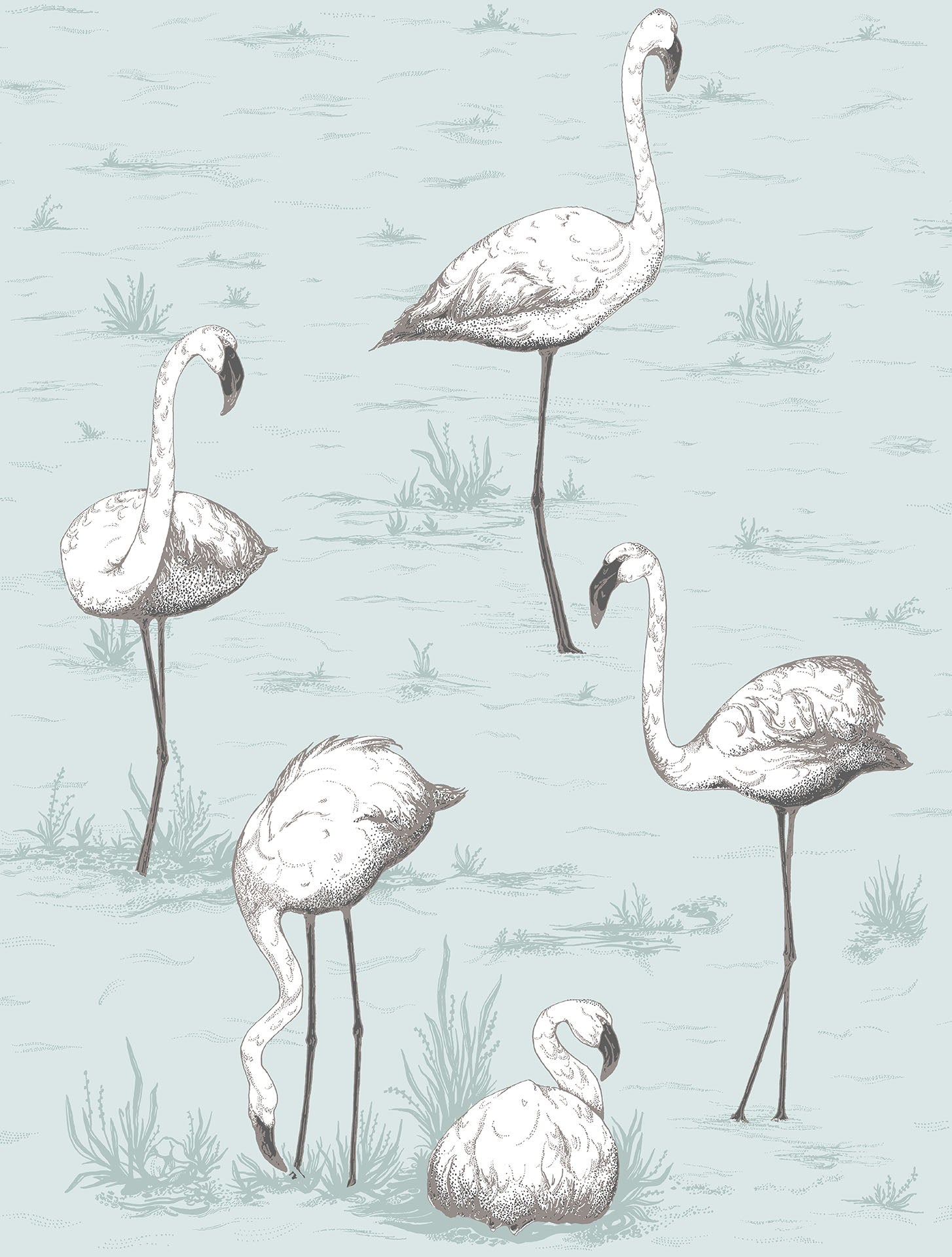 Flamingos - Wallpaper Trader