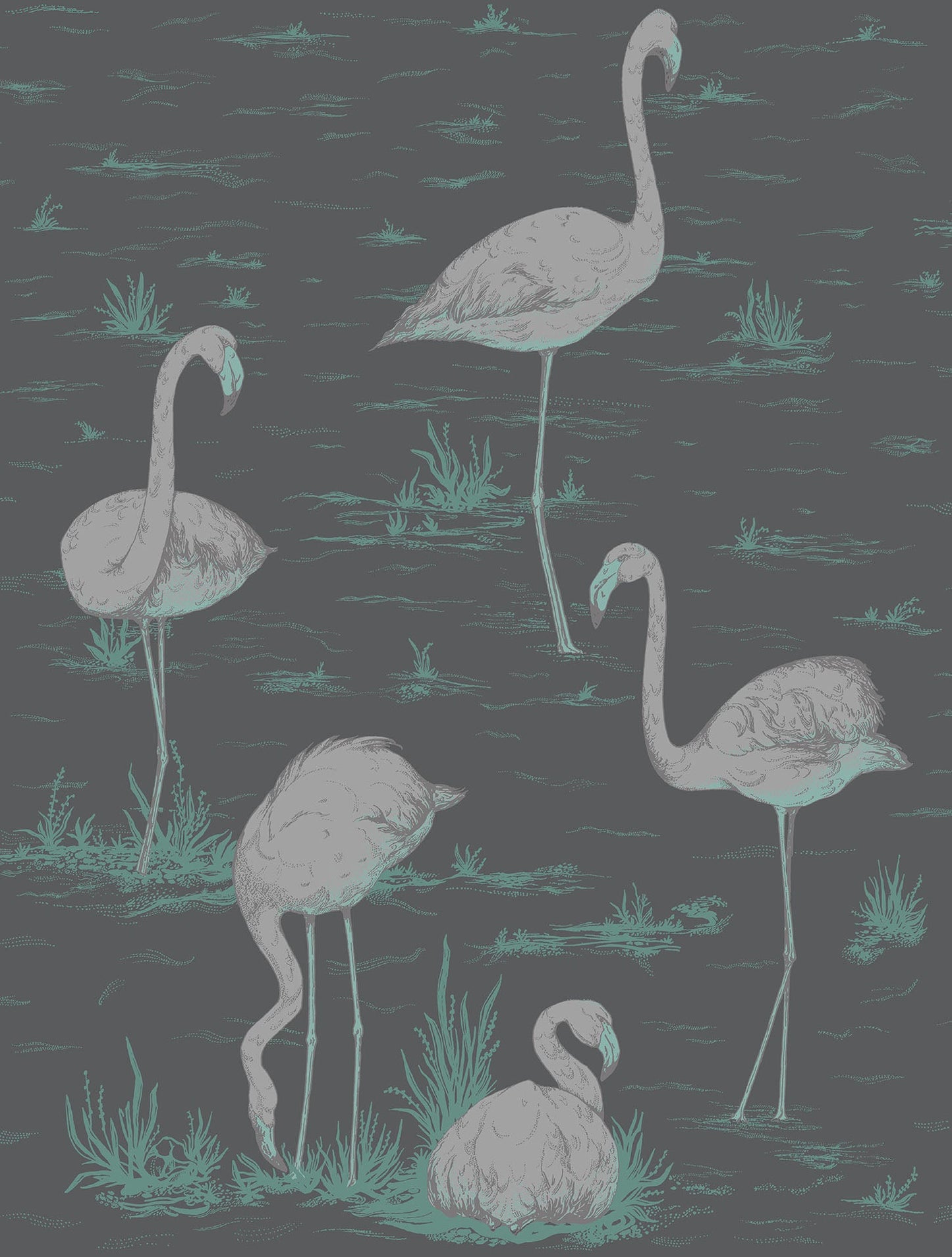 Flamingos - Wallpaper Trader