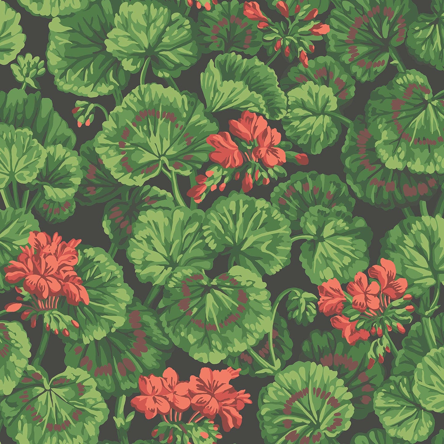 Geranium - Wallpaper Trader