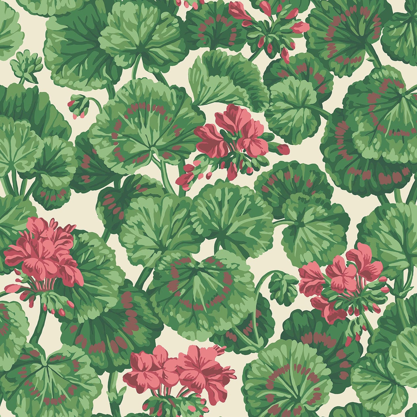 Geranium - Wallpaper Trader