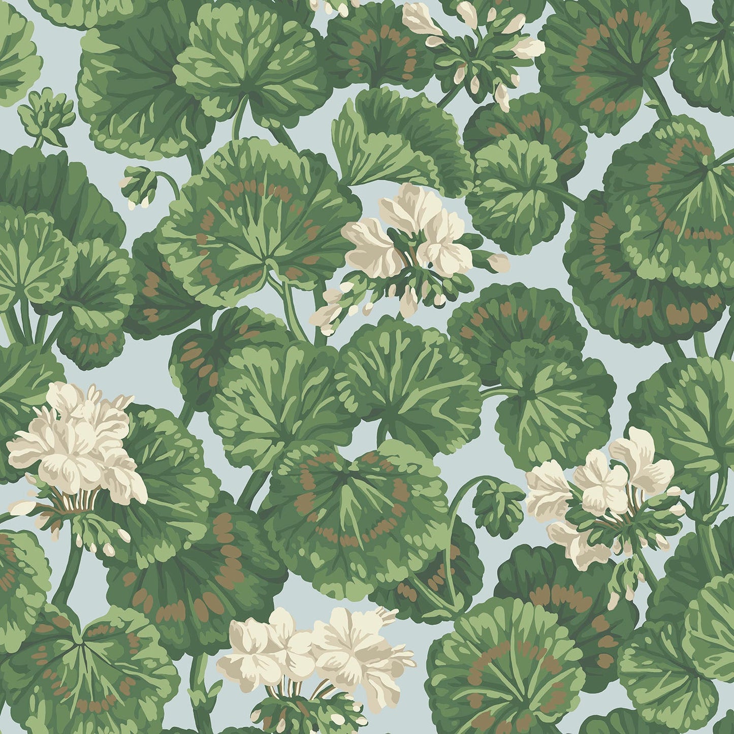 Geranium - Wallpaper Trader