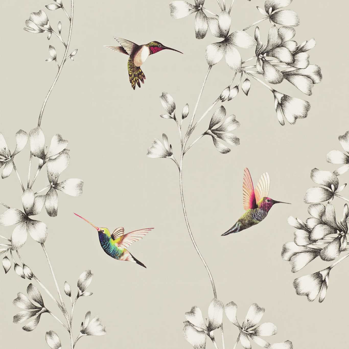 Amazilia Silver wallpaper by Harlequin - botanical design