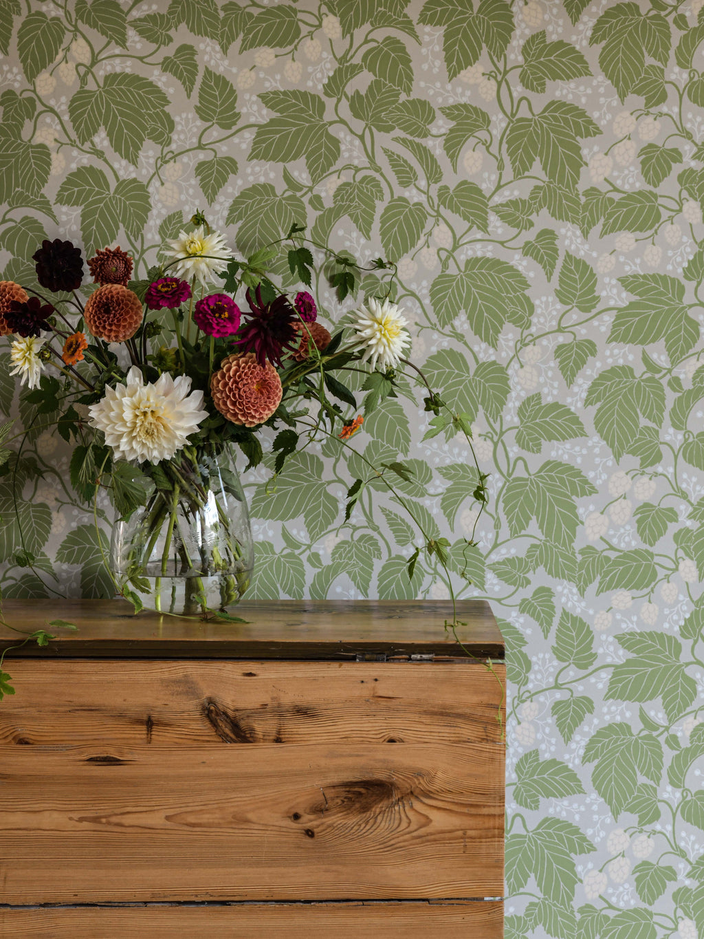 Hops and Glory wallpaper by Langelid/von Bromssen - botanical design in Green – Leaf