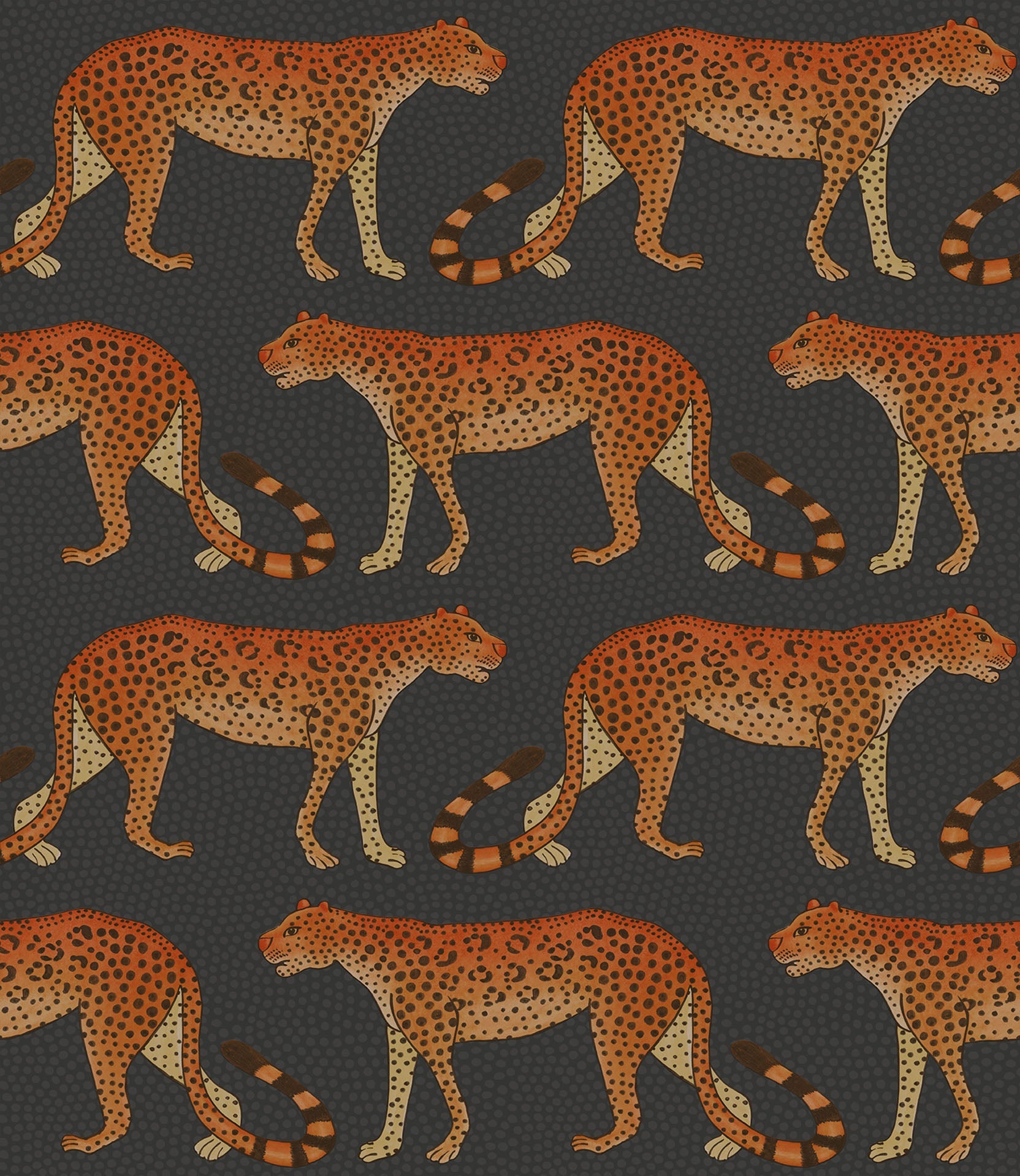 Leopard Walk - Wallpaper Trader