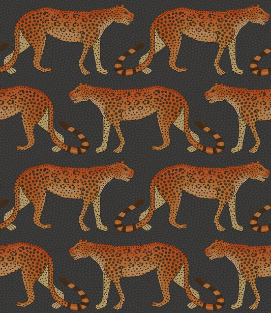 Leopard Walk - Wallpaper Trader