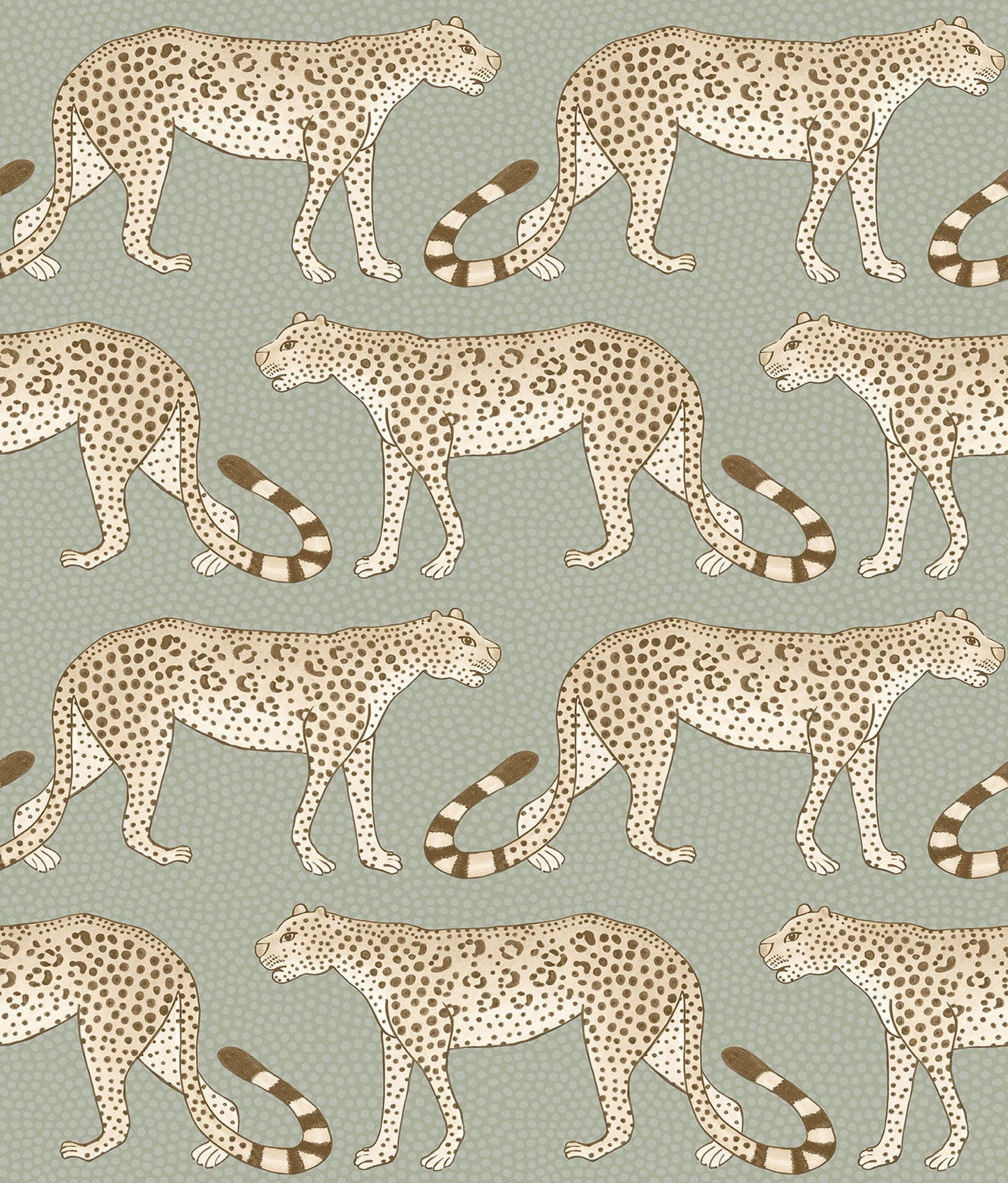 Leopard Walk - Wallpaper Trader