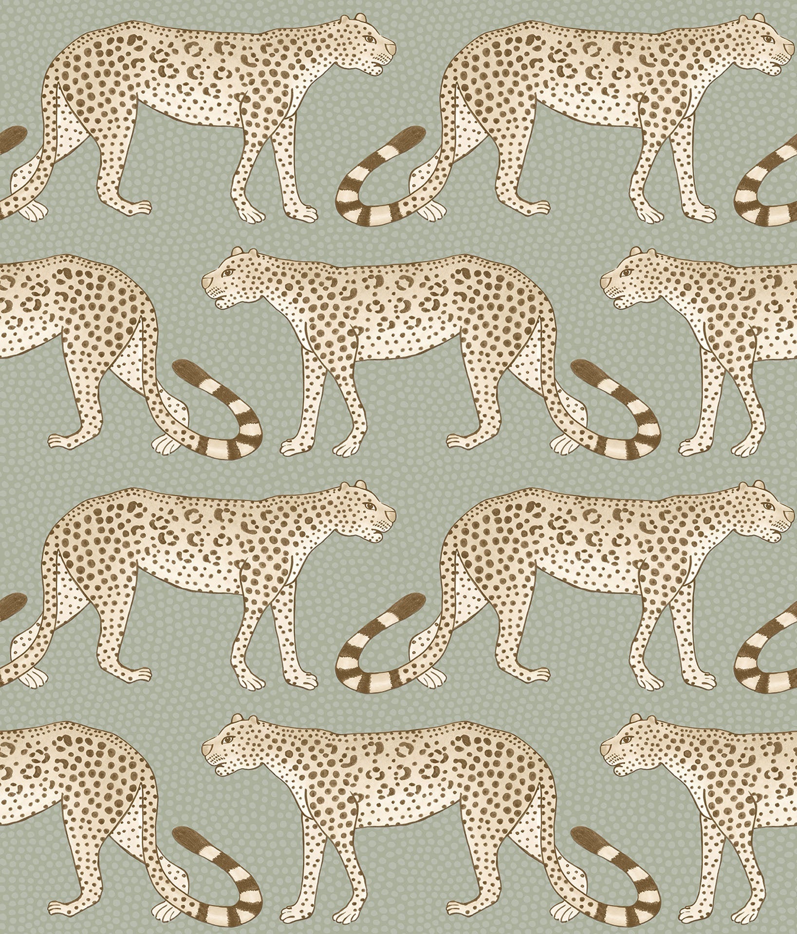 Leopard Walk - Wallpaper Trader